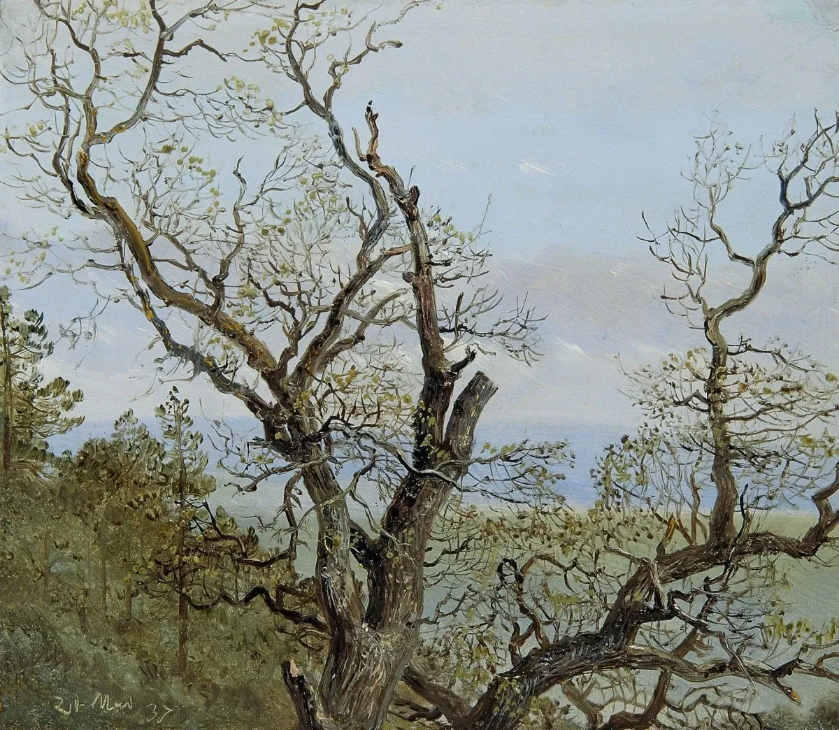 Museum Behnhaus Drägerhaus