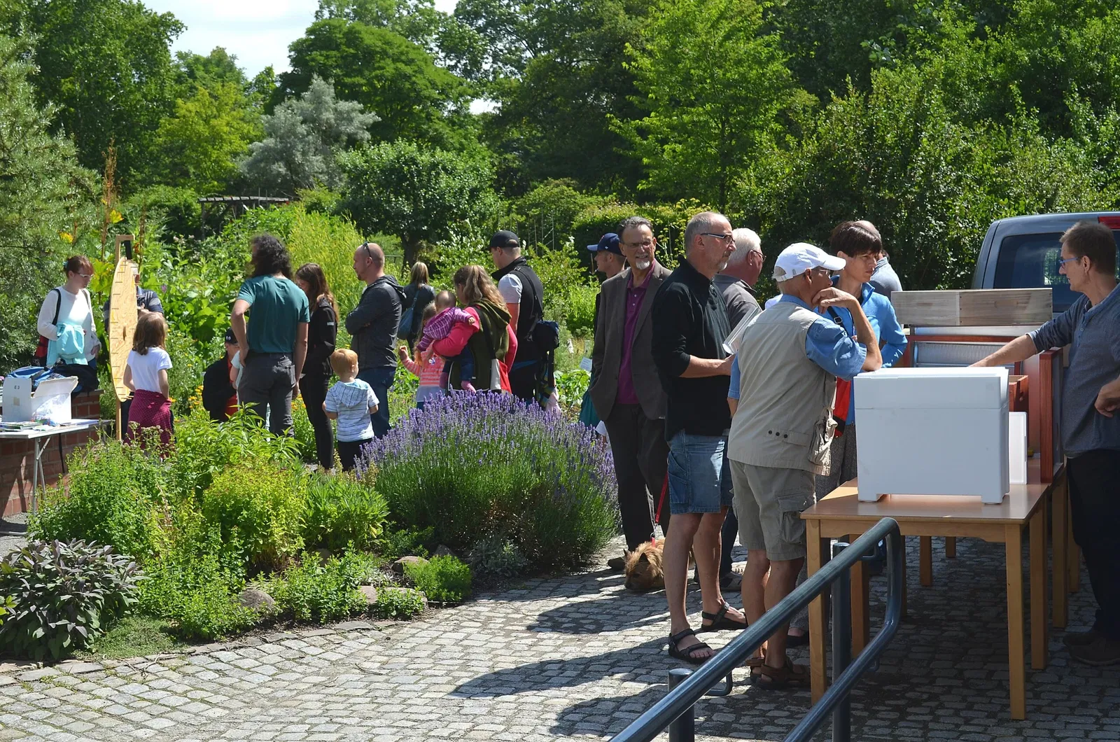 Botanischer Garten Chemnitz