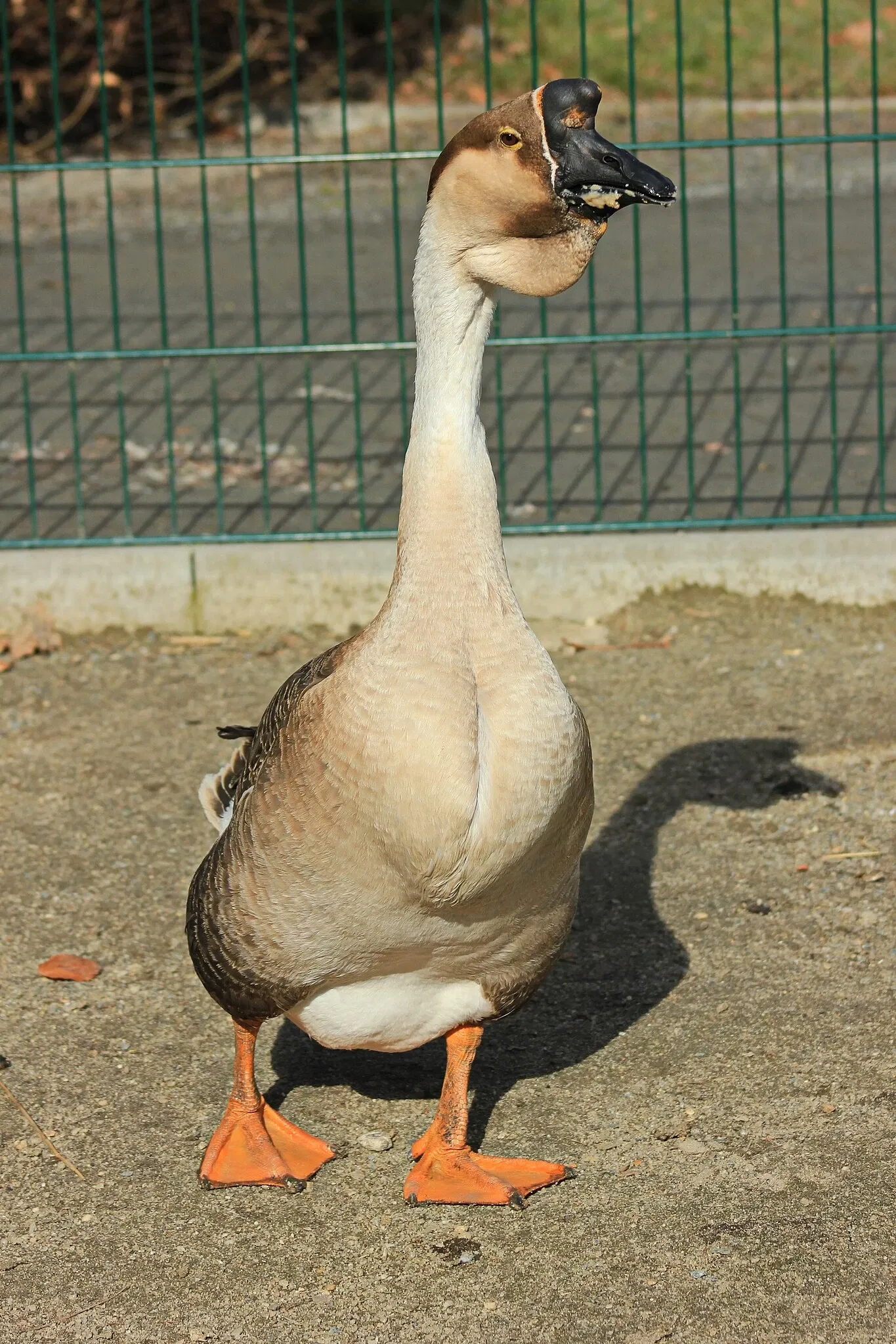 Botanischer Garten Chemnitz