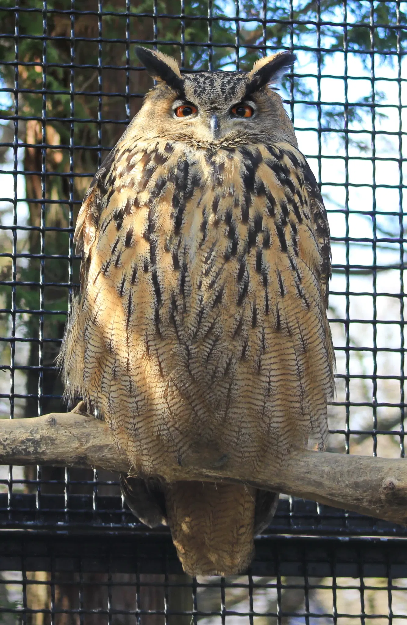 Botanischer Garten Chemnitz