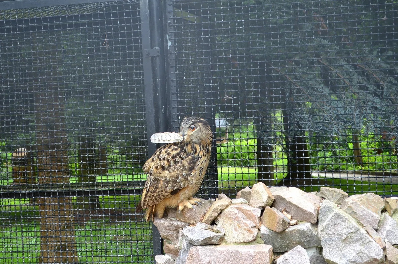 Jardín botánico de Chemnitz