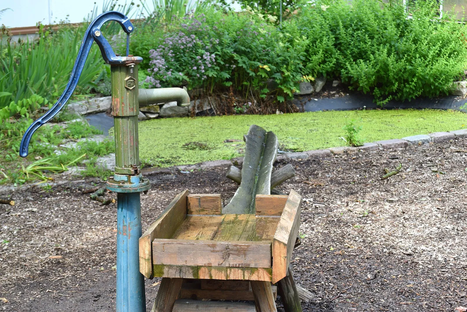 Botanischer Garten Chemnitz