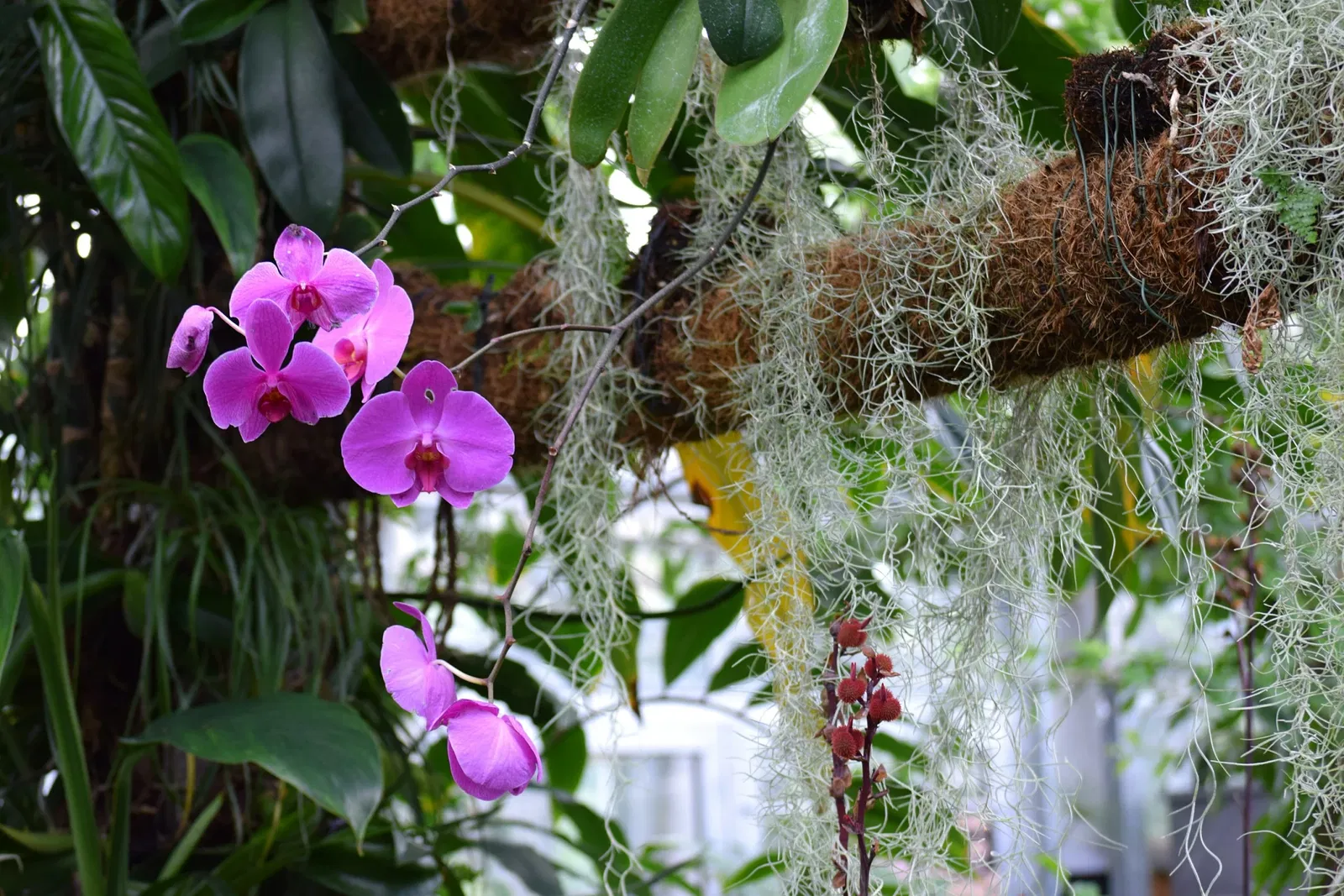 Botanischer Garten Chemnitz