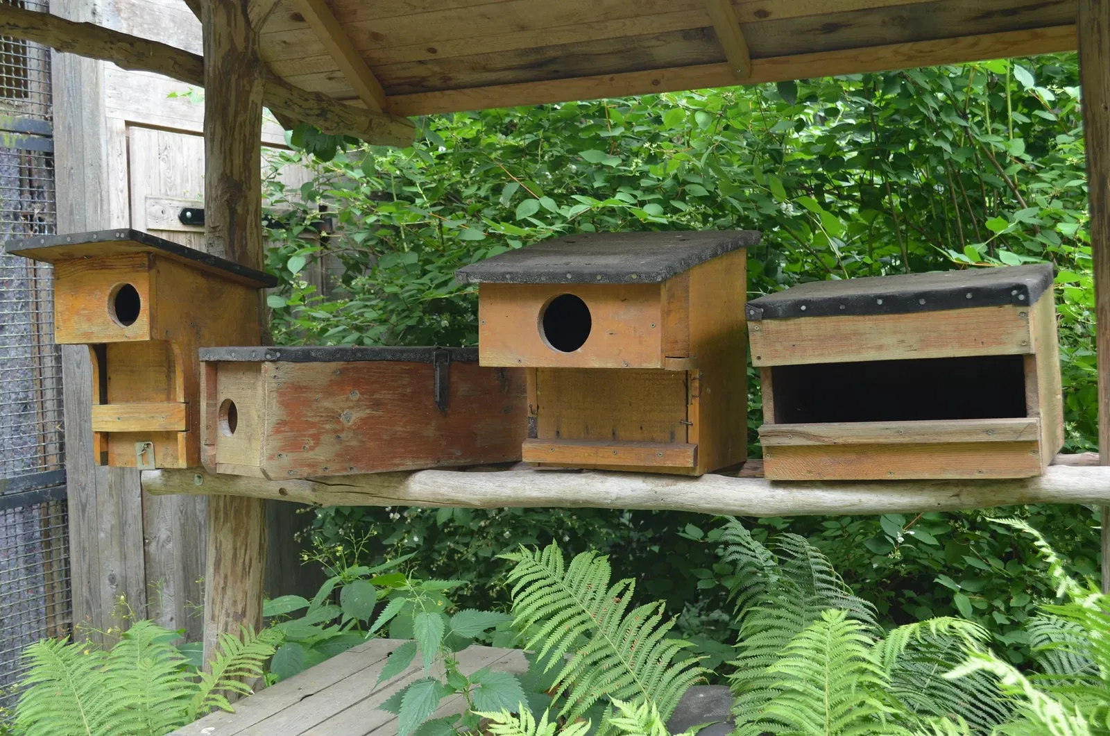 Botanischer Garten Chemnitz