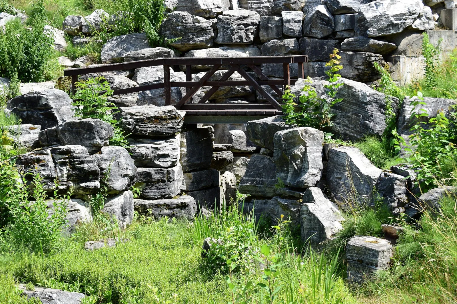 Botanischer Garten Chemnitz