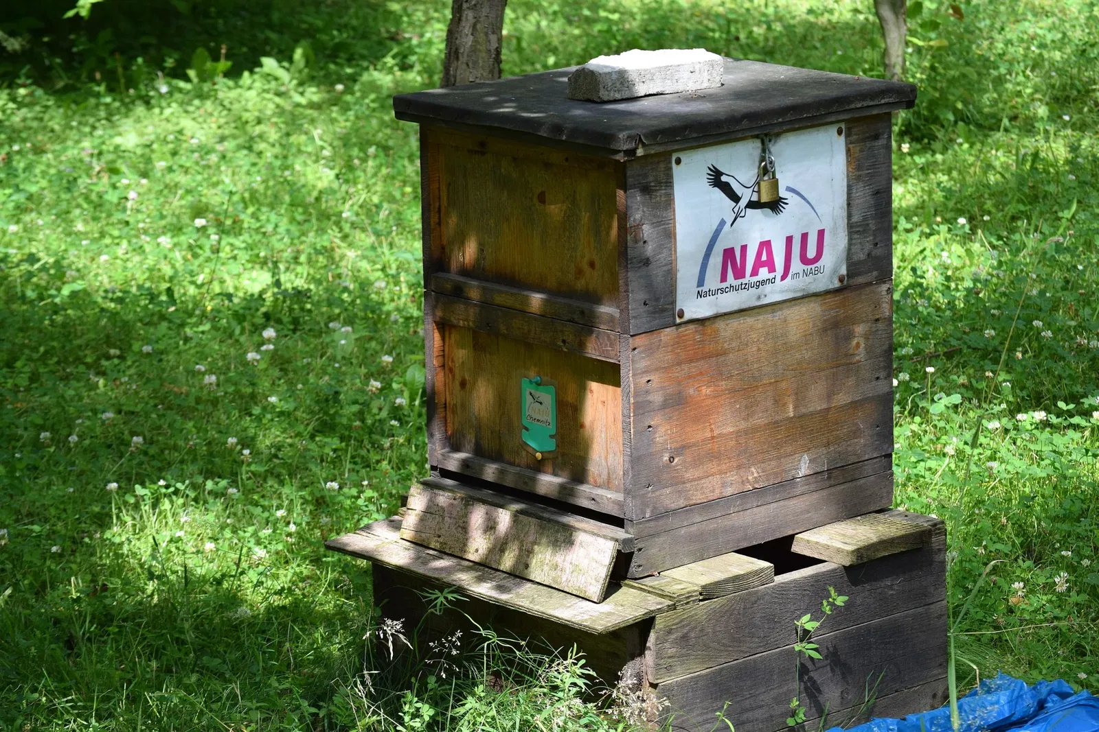 Jardín botánico de Chemnitz