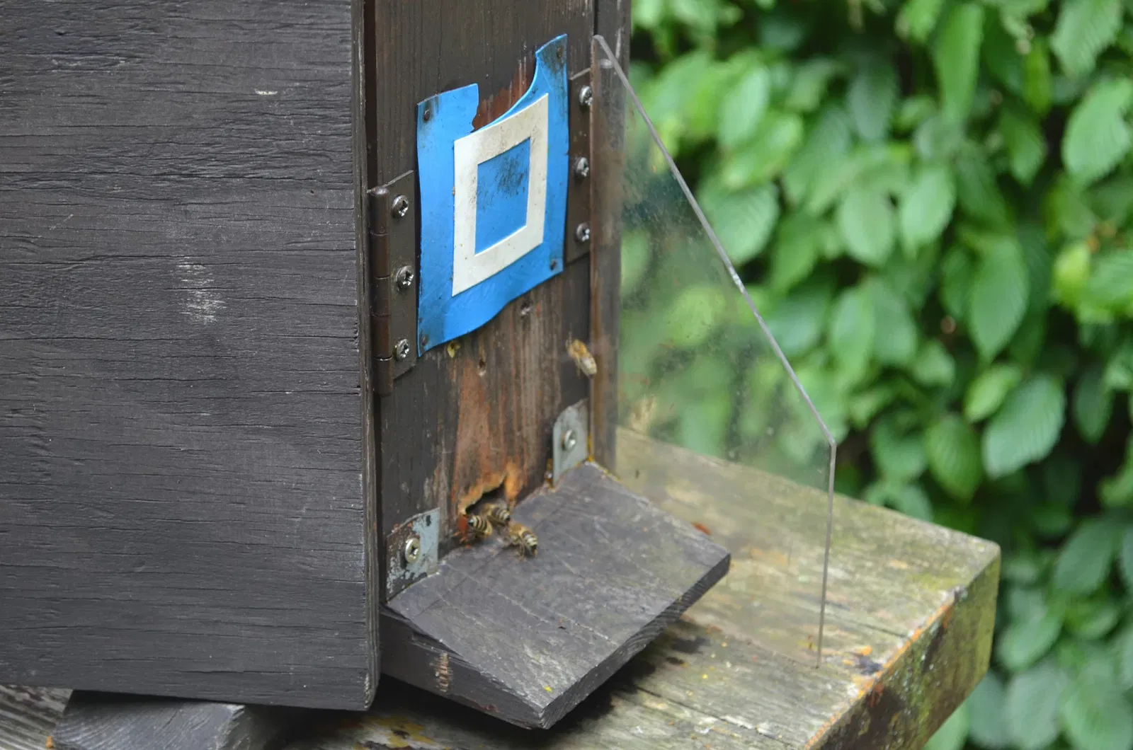 Botanischer Garten Chemnitz