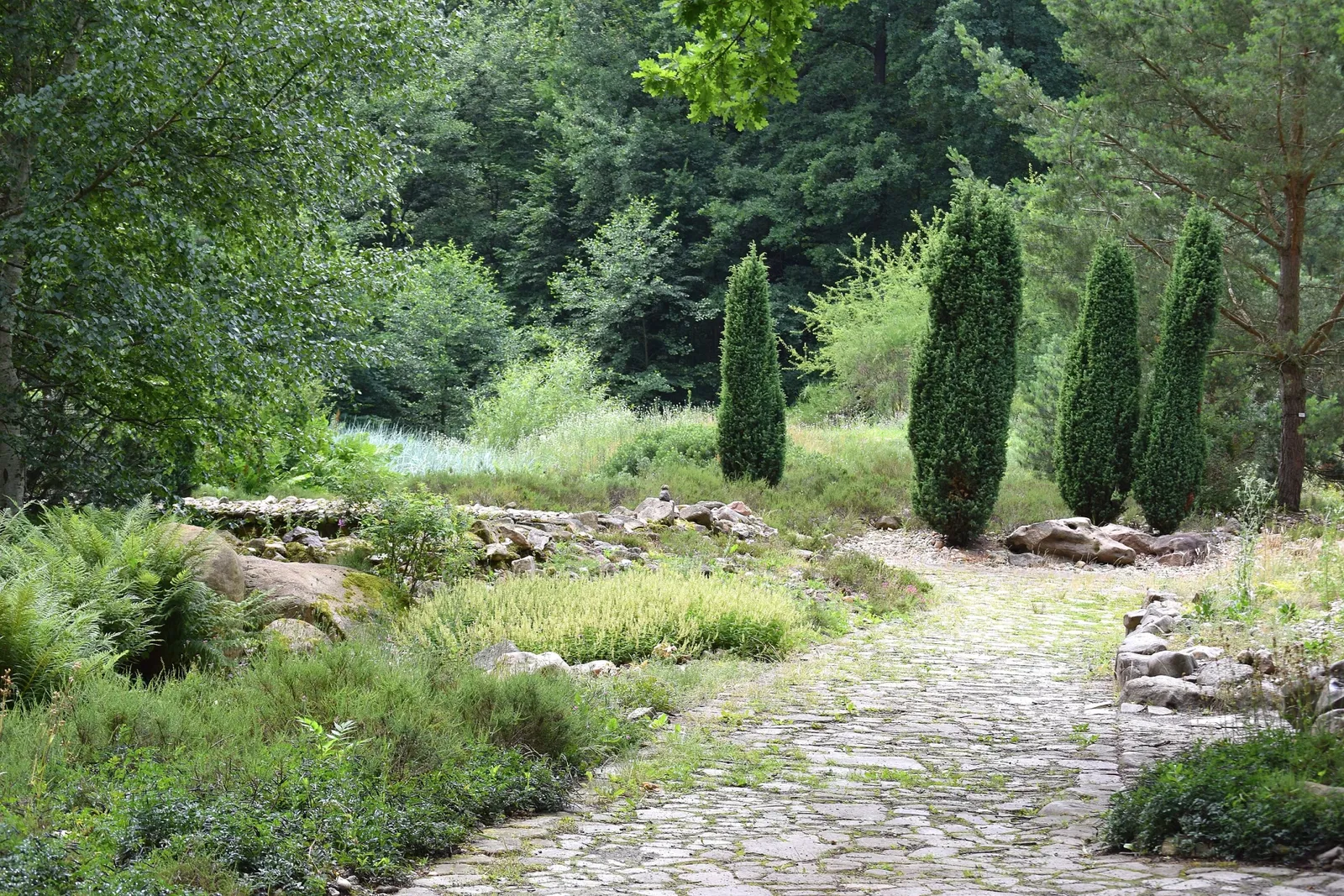 Jardín botánico de Chemnitz