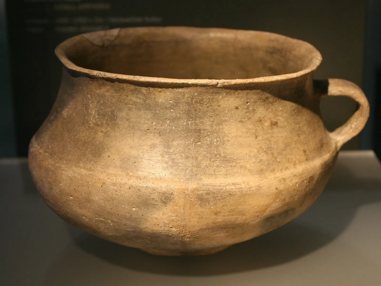 SMAC Staatliches Museum für Archäologie Chemnitz