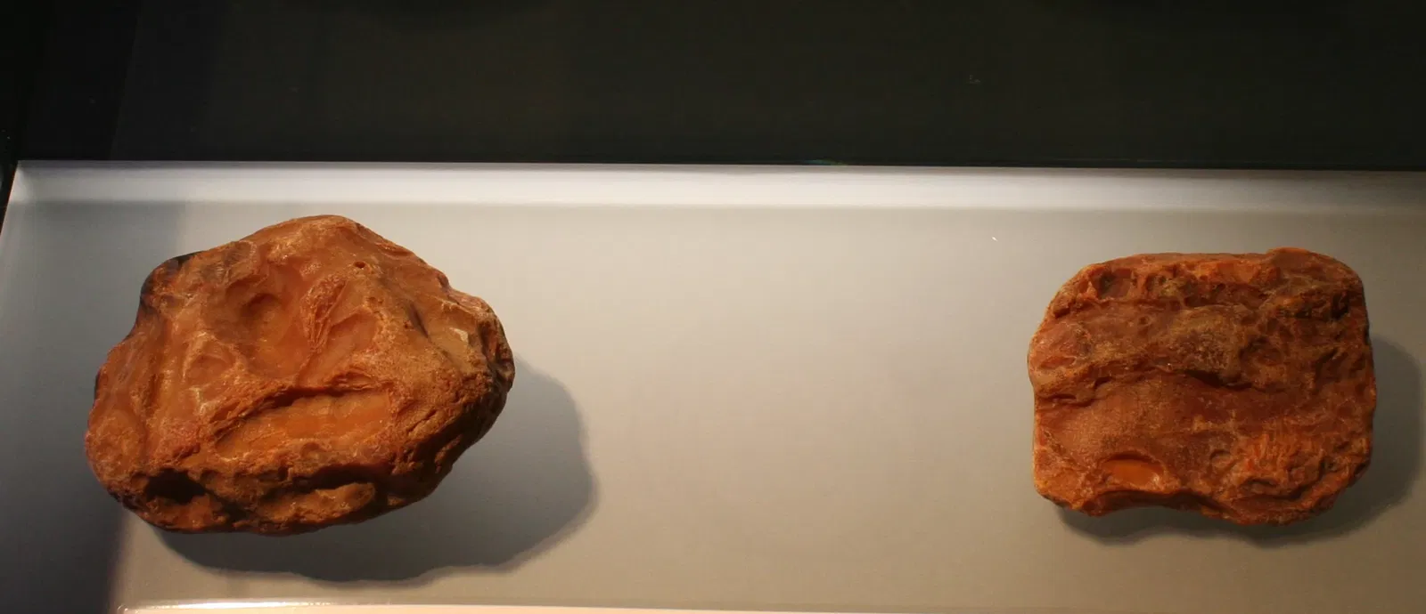 State Museum of Archaeology Chemnitz