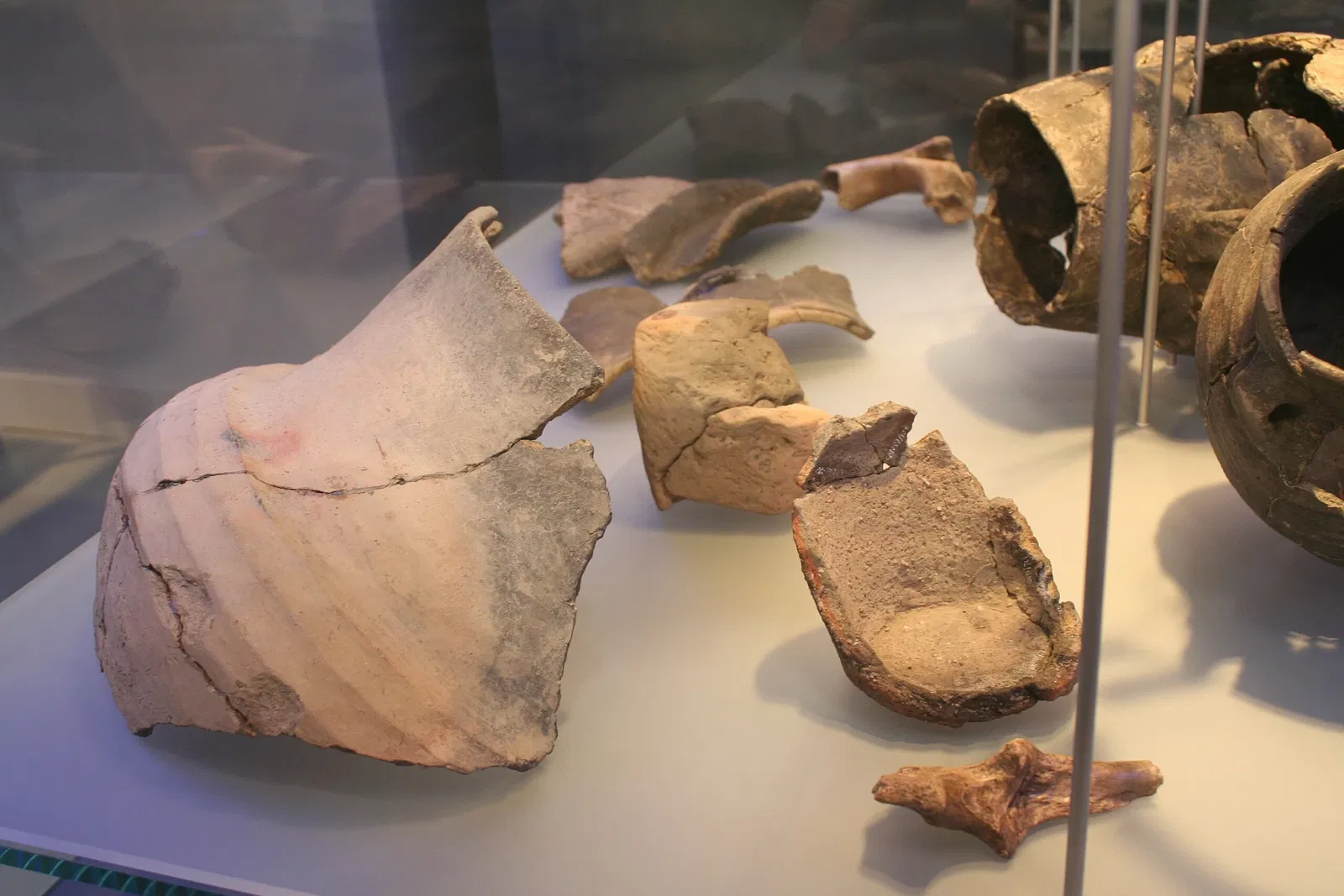 State Museum of Archaeology Chemnitz