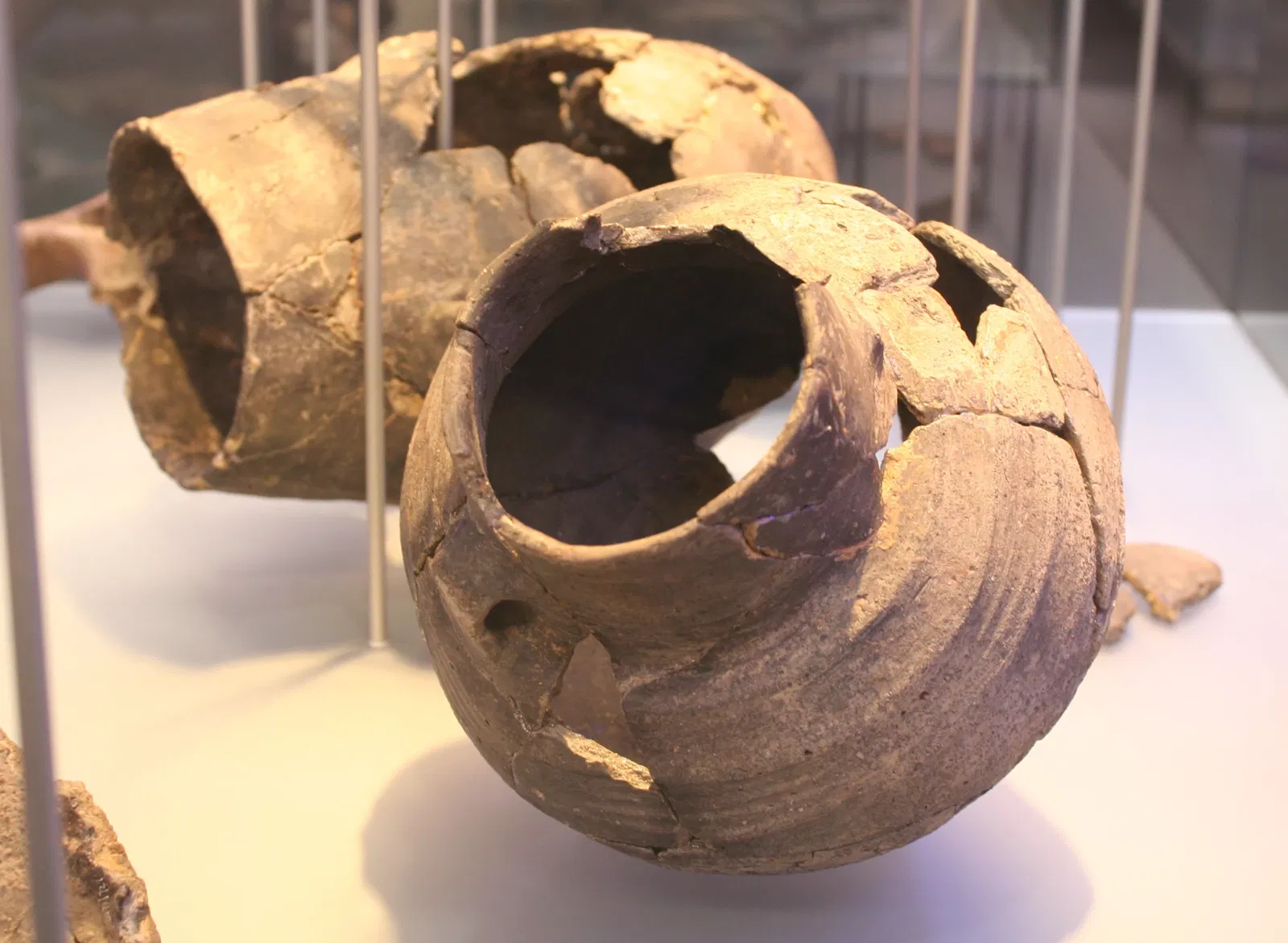 SMAC Staatliches Museum für Archäologie Chemnitz