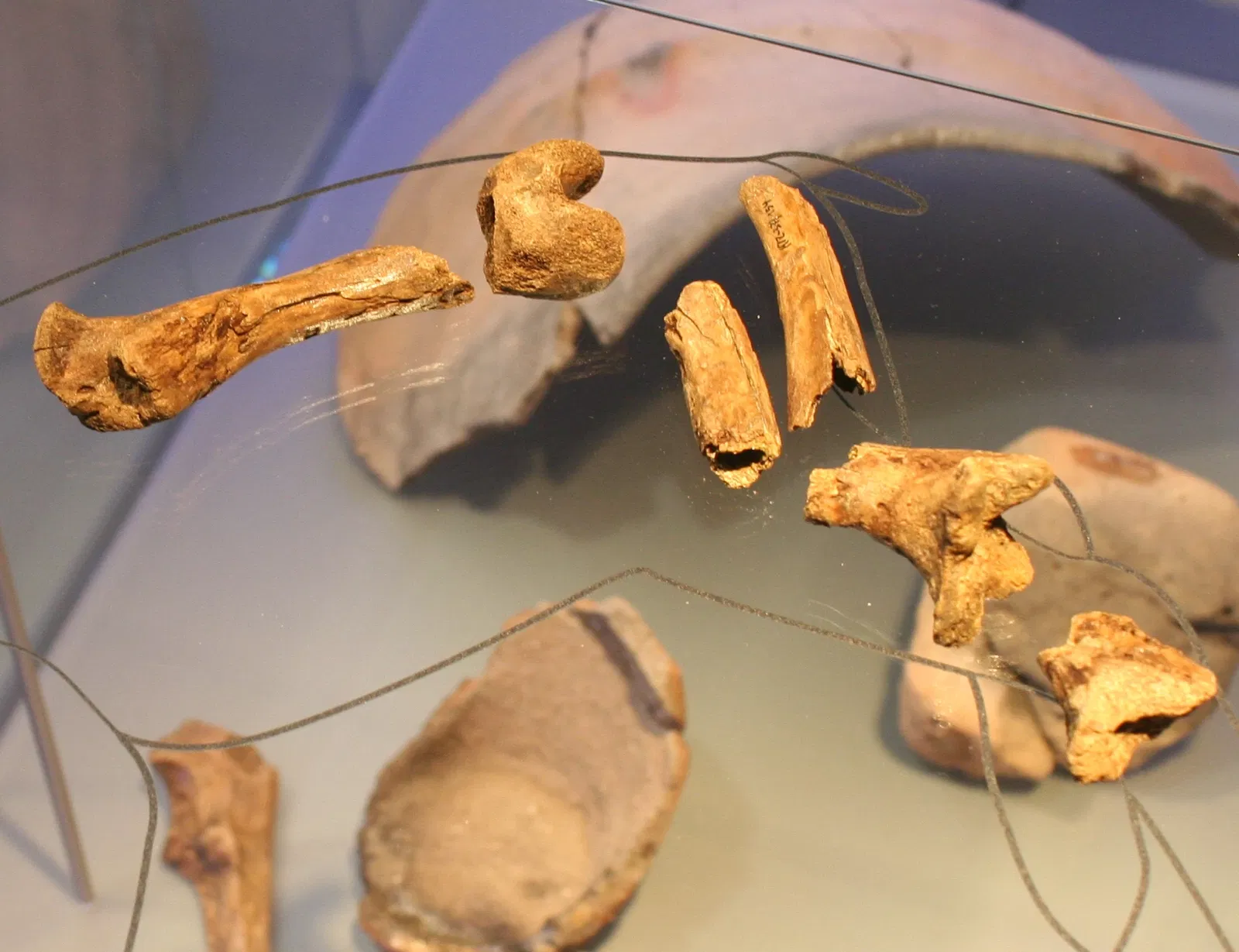 State Museum of Archaeology Chemnitz