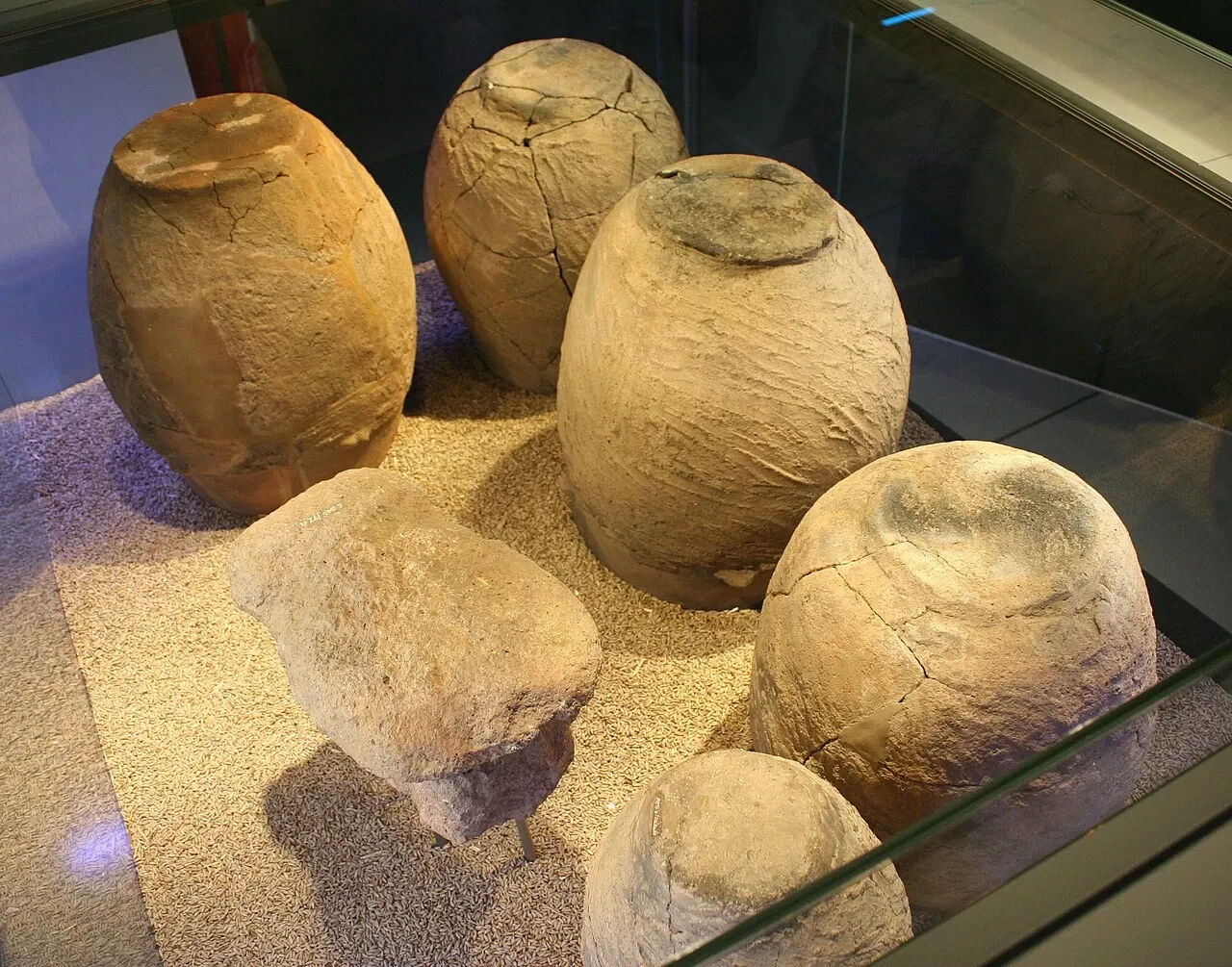 SMAC Staatliches Museum für Archäologie Chemnitz