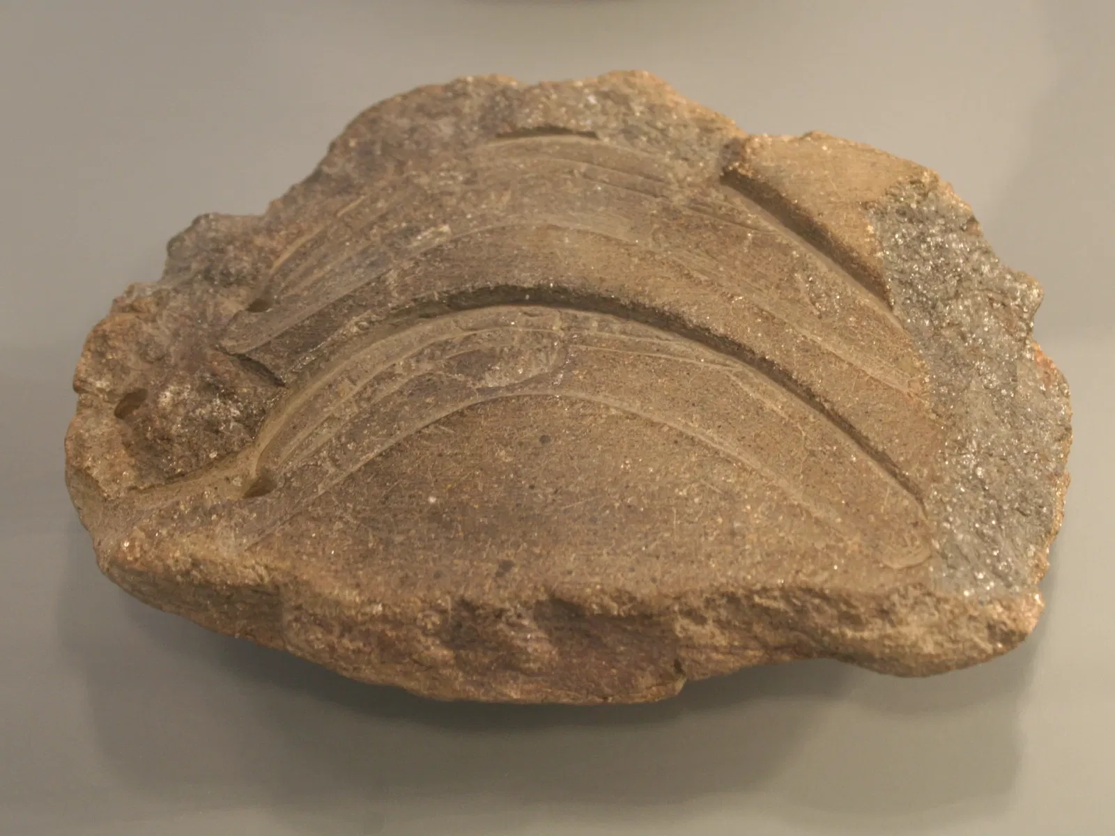 State Museum of Archaeology Chemnitz