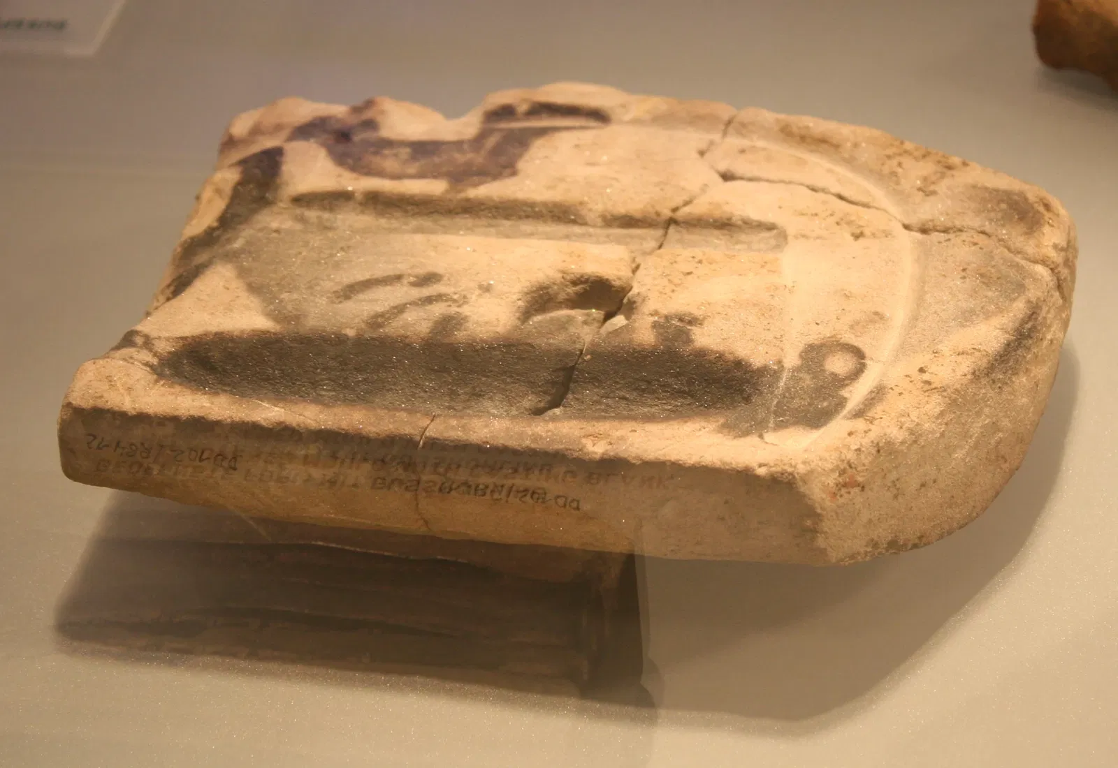 State Museum of Archaeology Chemnitz