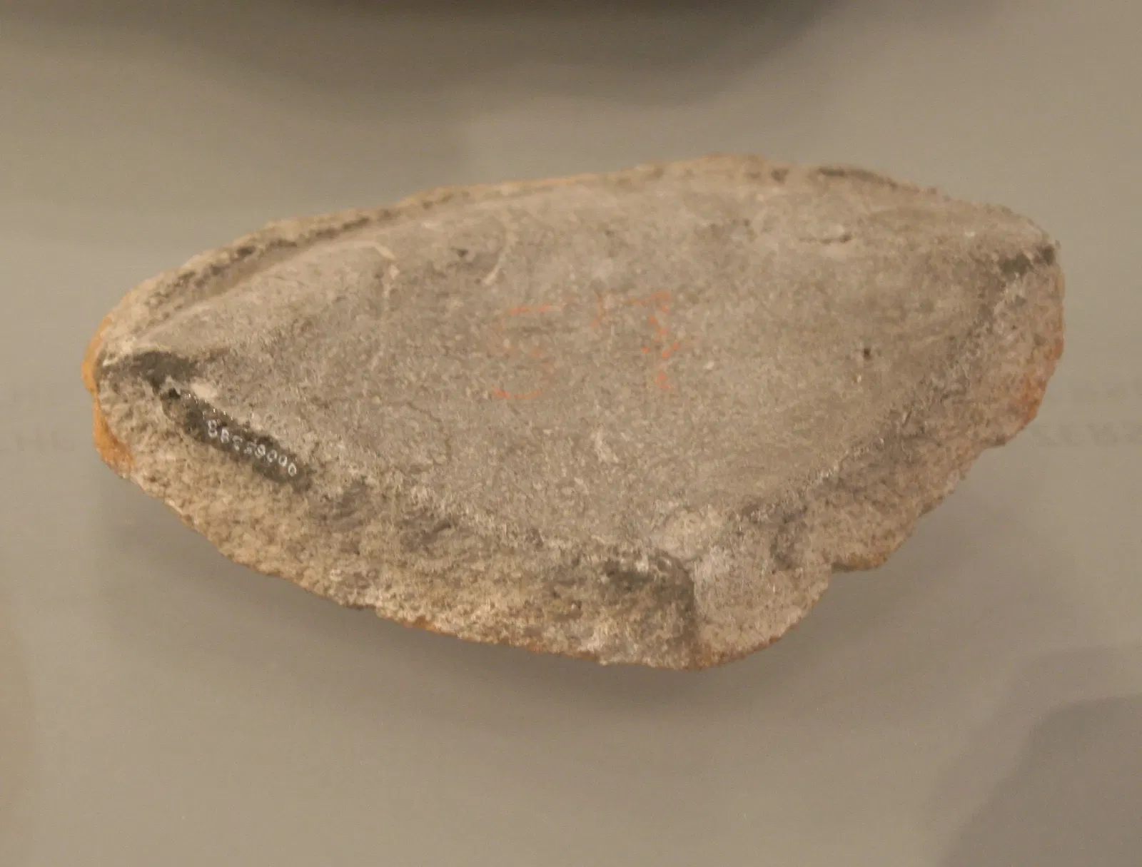 State Museum of Archaeology Chemnitz