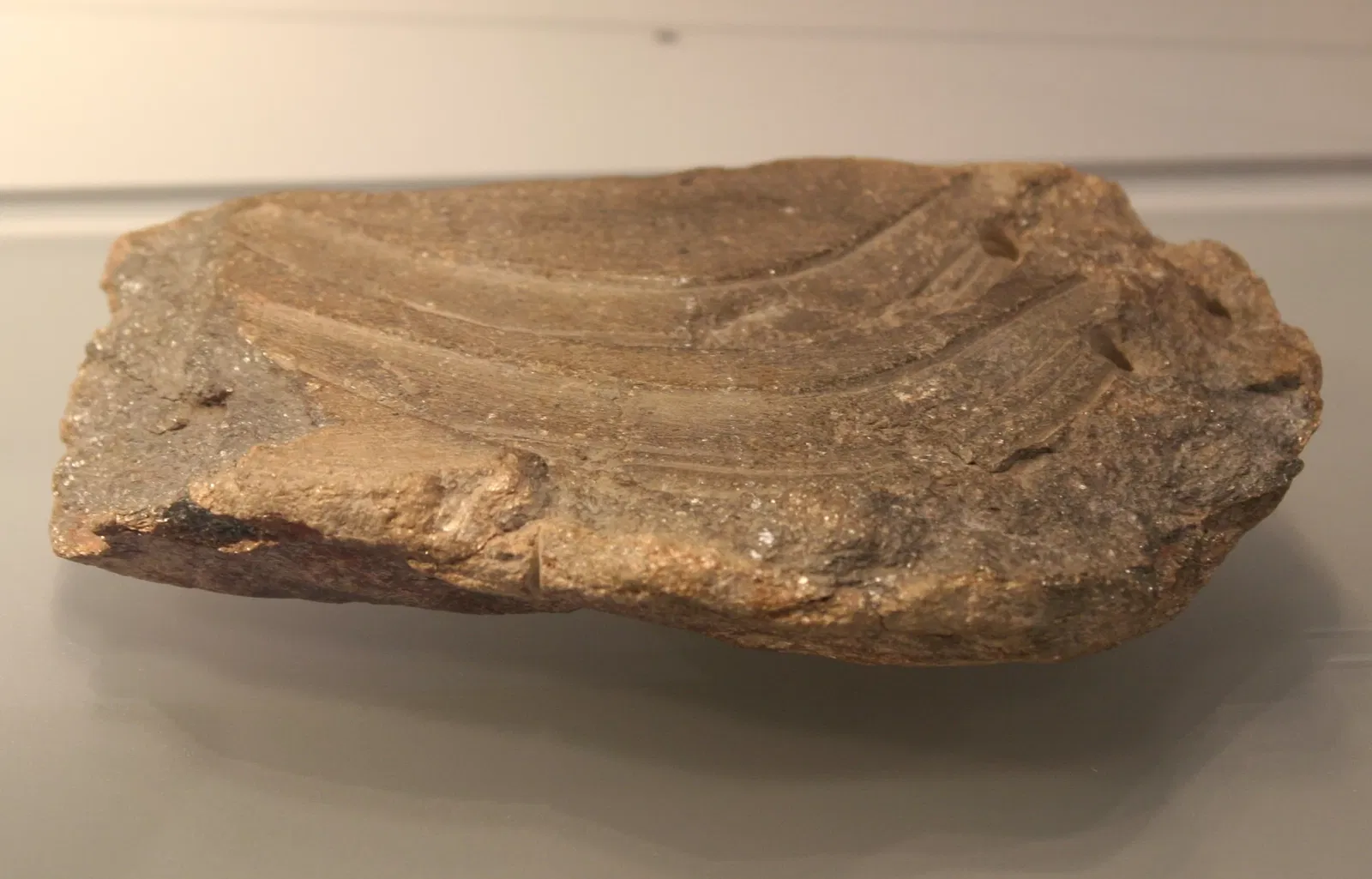 State Museum of Archaeology Chemnitz