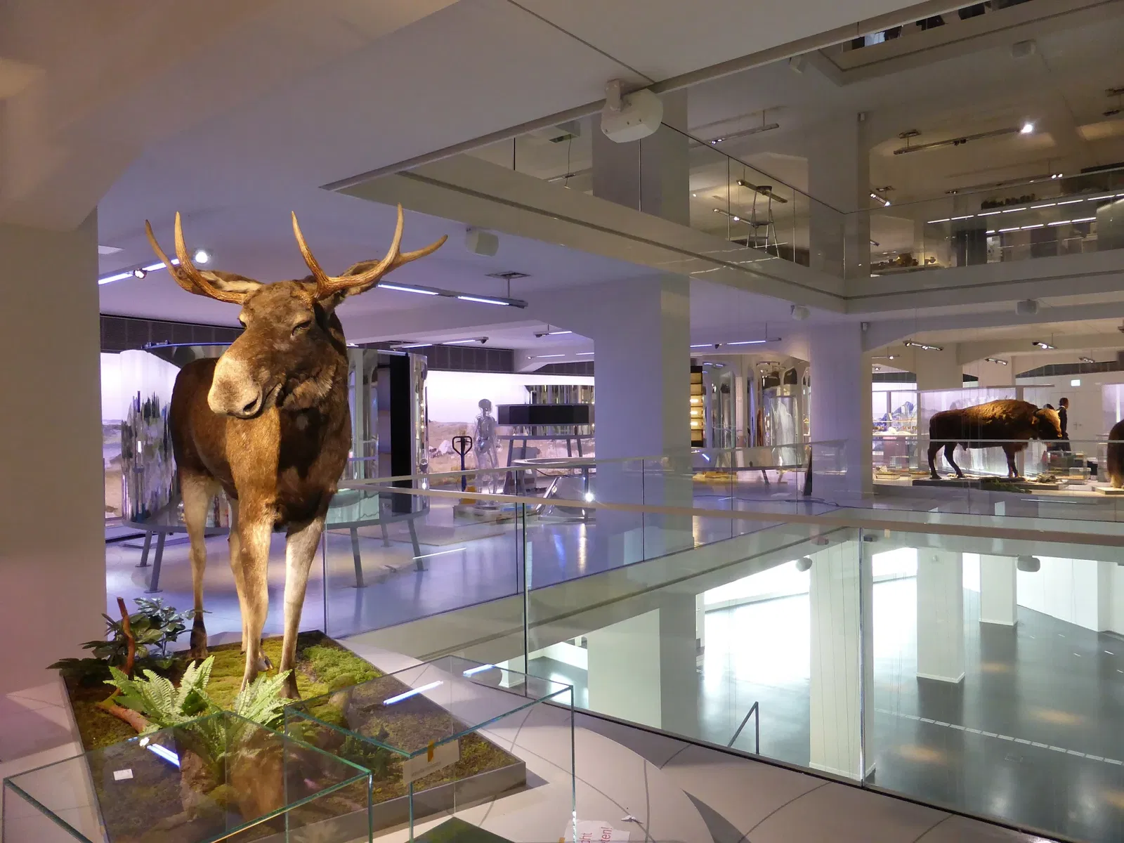 State Museum of Archaeology Chemnitz