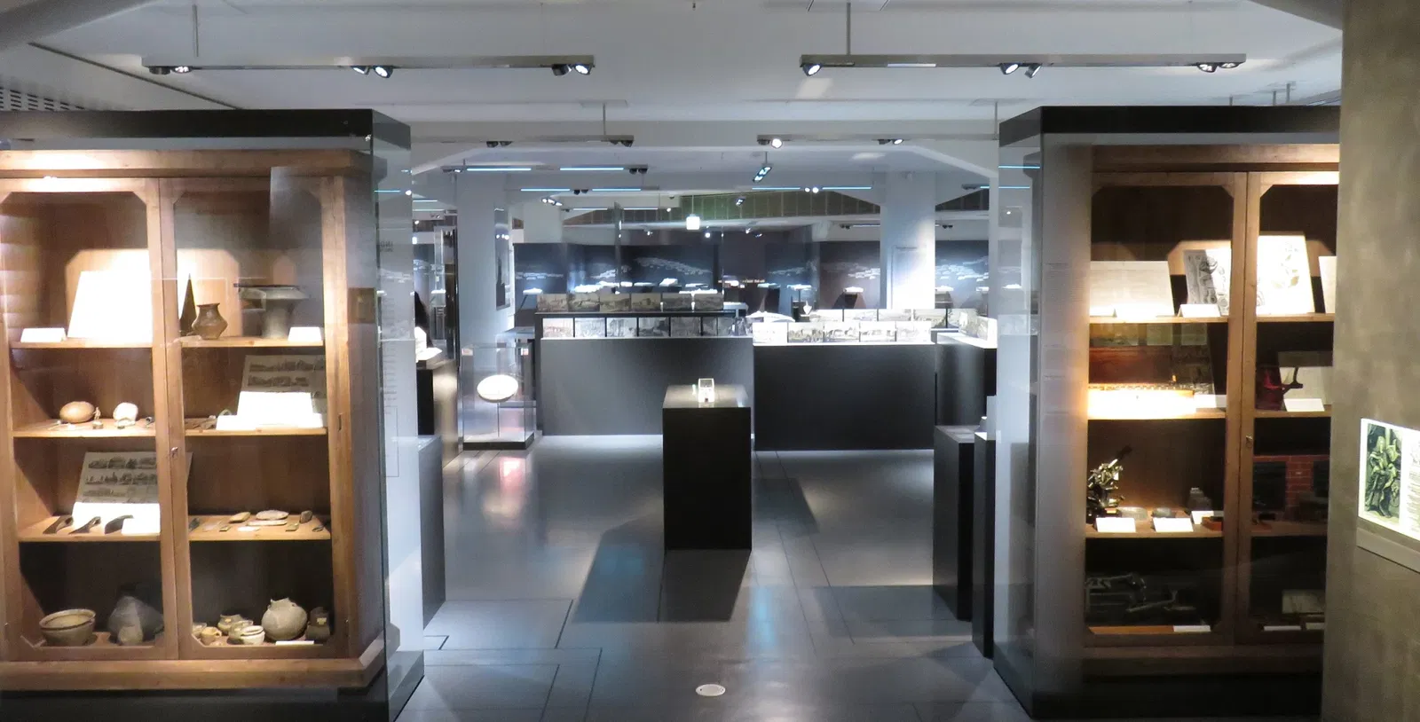 State Museum of Archaeology Chemnitz