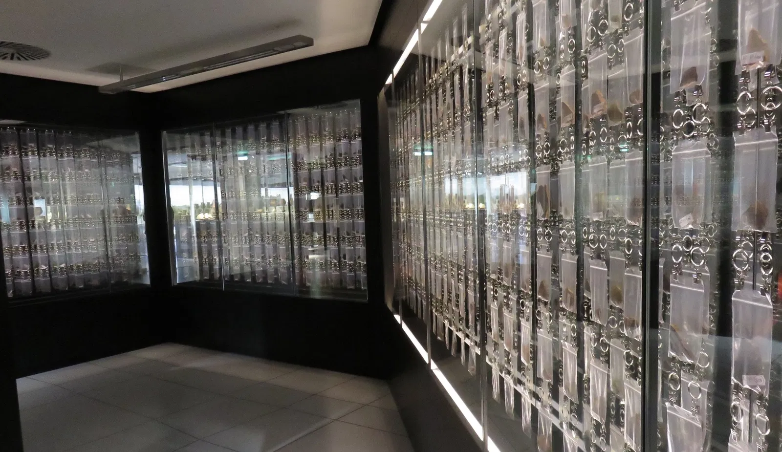 SMAC Staatliches Museum für Archäologie Chemnitz