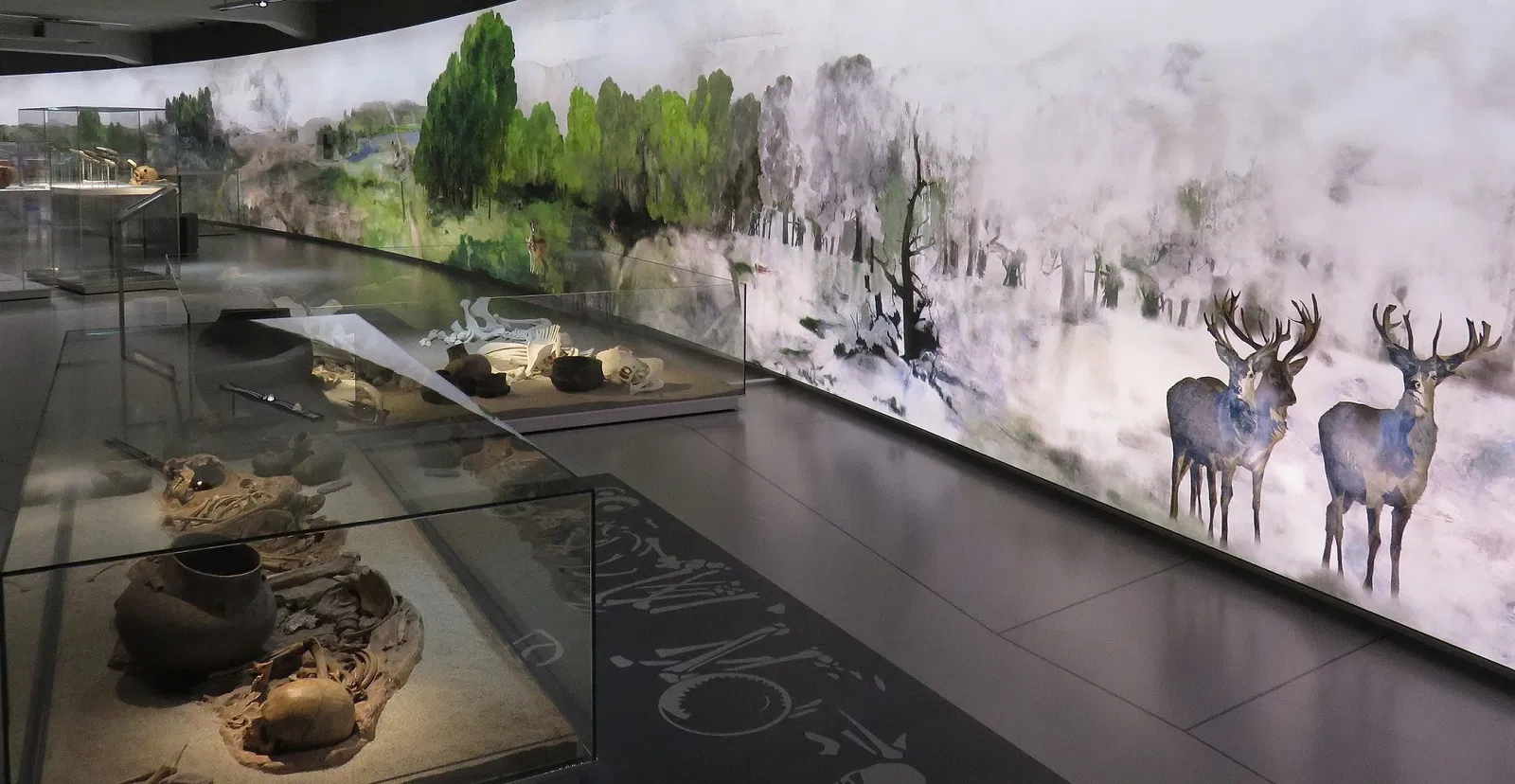 SMAC Staatliches Museum für Archäologie Chemnitz