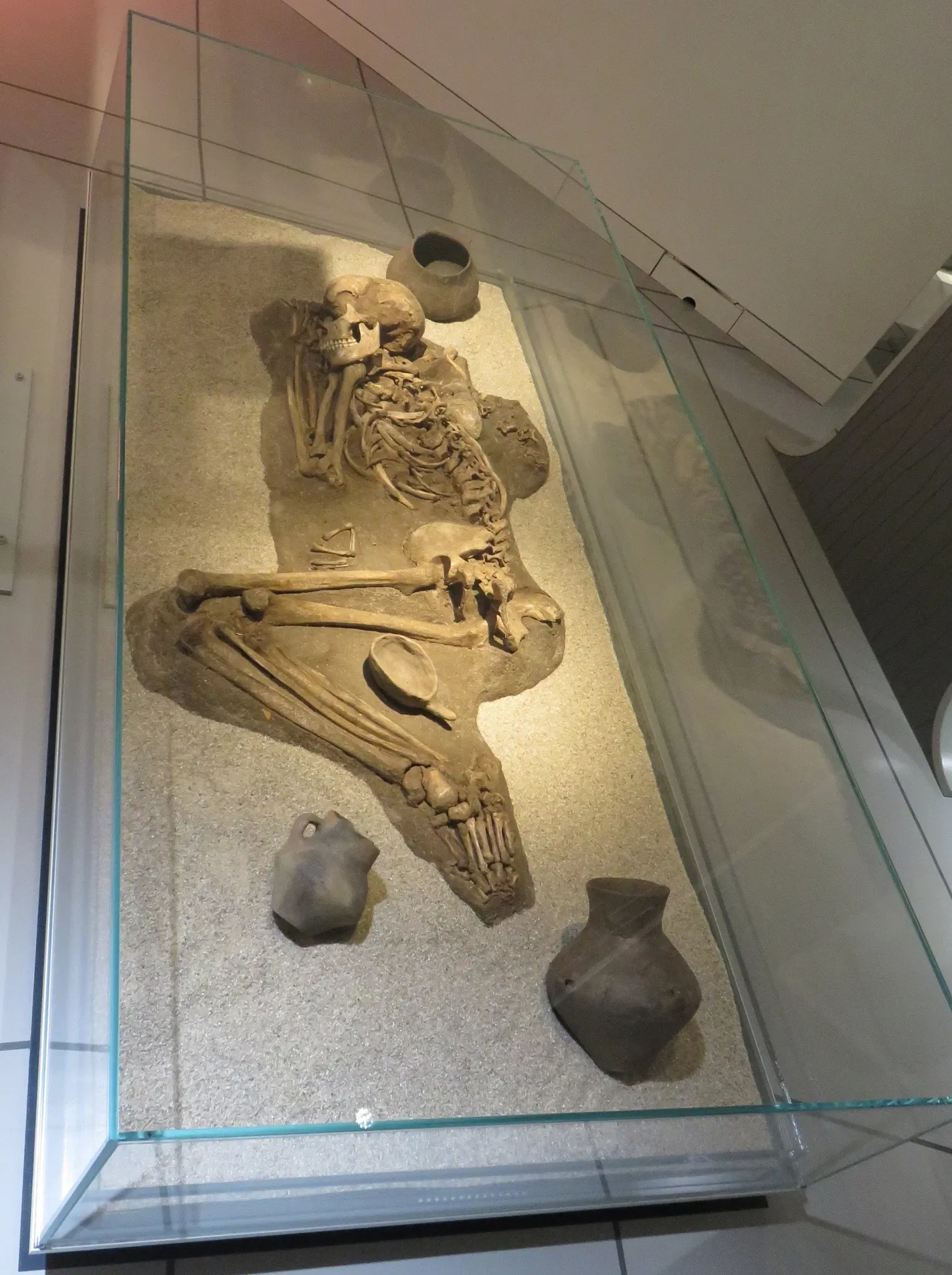 SMAC Staatliches Museum für Archäologie Chemnitz