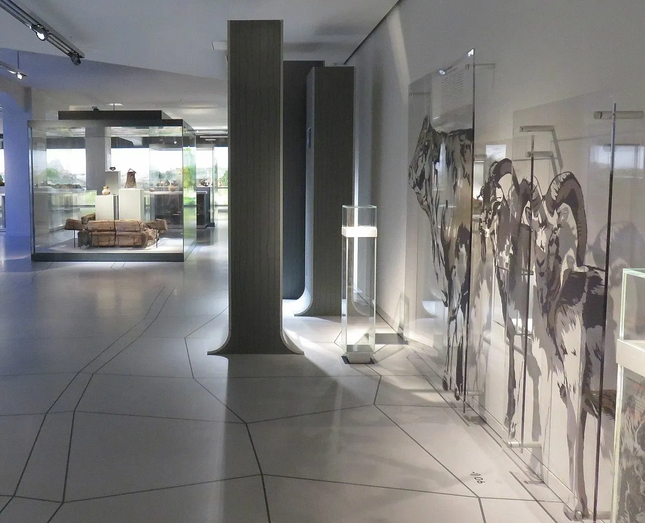 SMAC Staatliches Museum für Archäologie Chemnitz