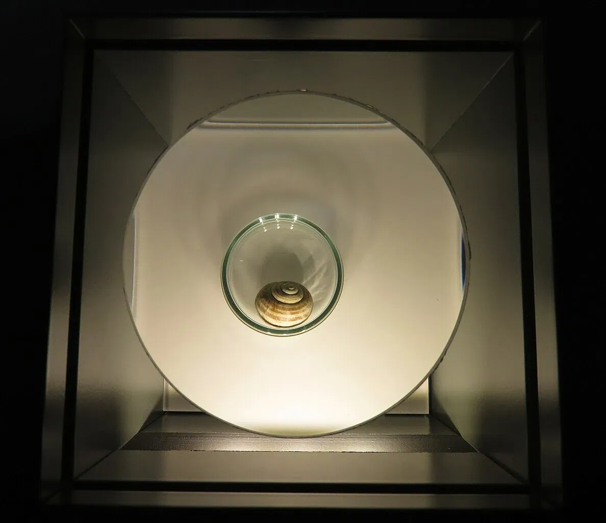 State Museum of Archaeology Chemnitz