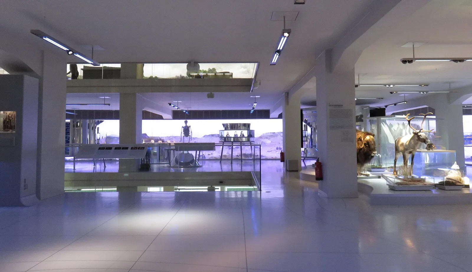 State Museum of Archaeology Chemnitz