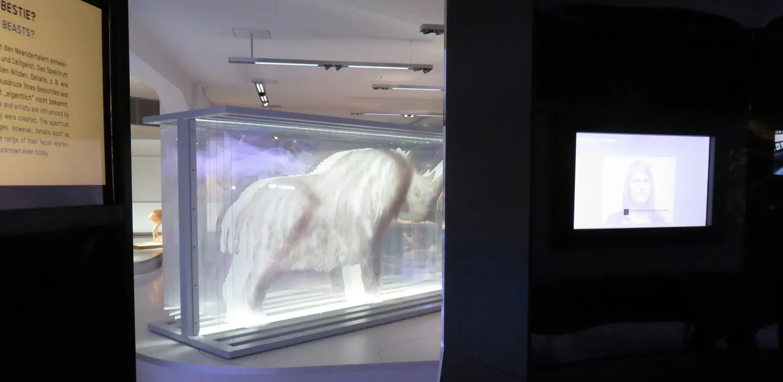 SMAC Staatliches Museum für Archäologie Chemnitz