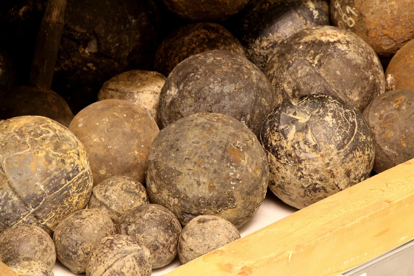 Musée régional du Brunswick