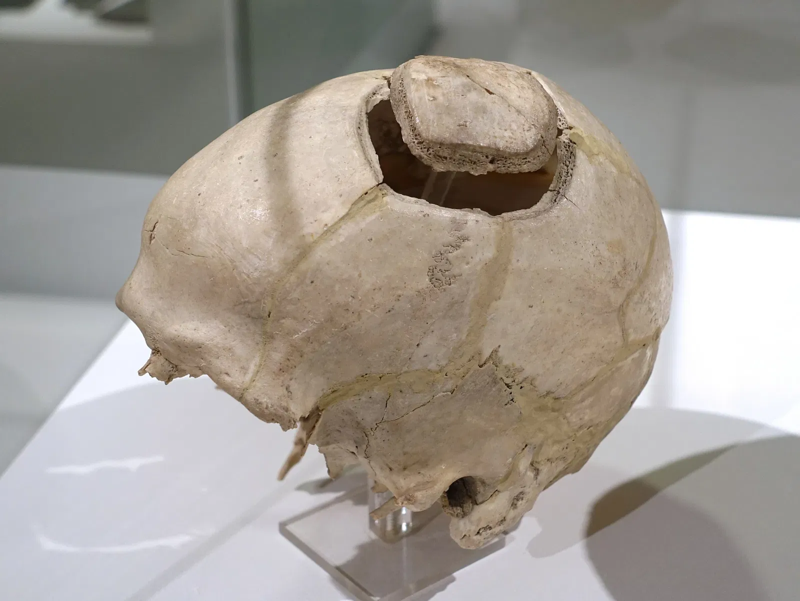 Braunschweigisches Landesmuseum