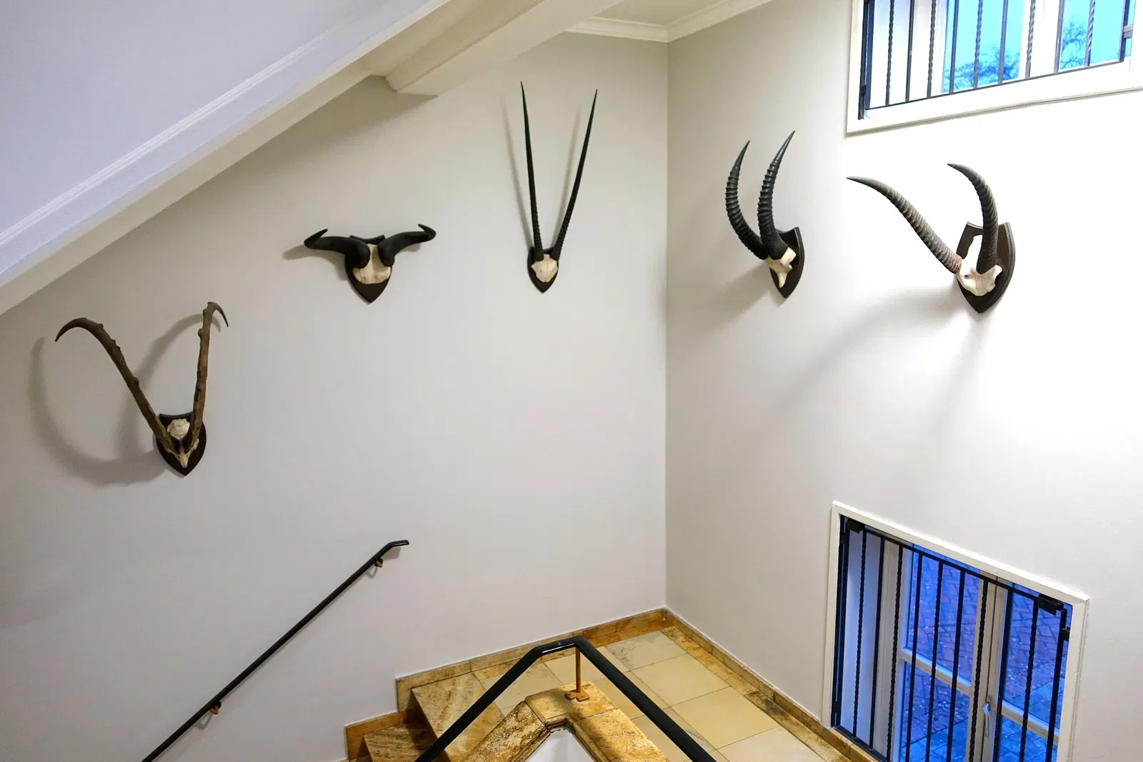 Museo di storia naturale di Braunschweig