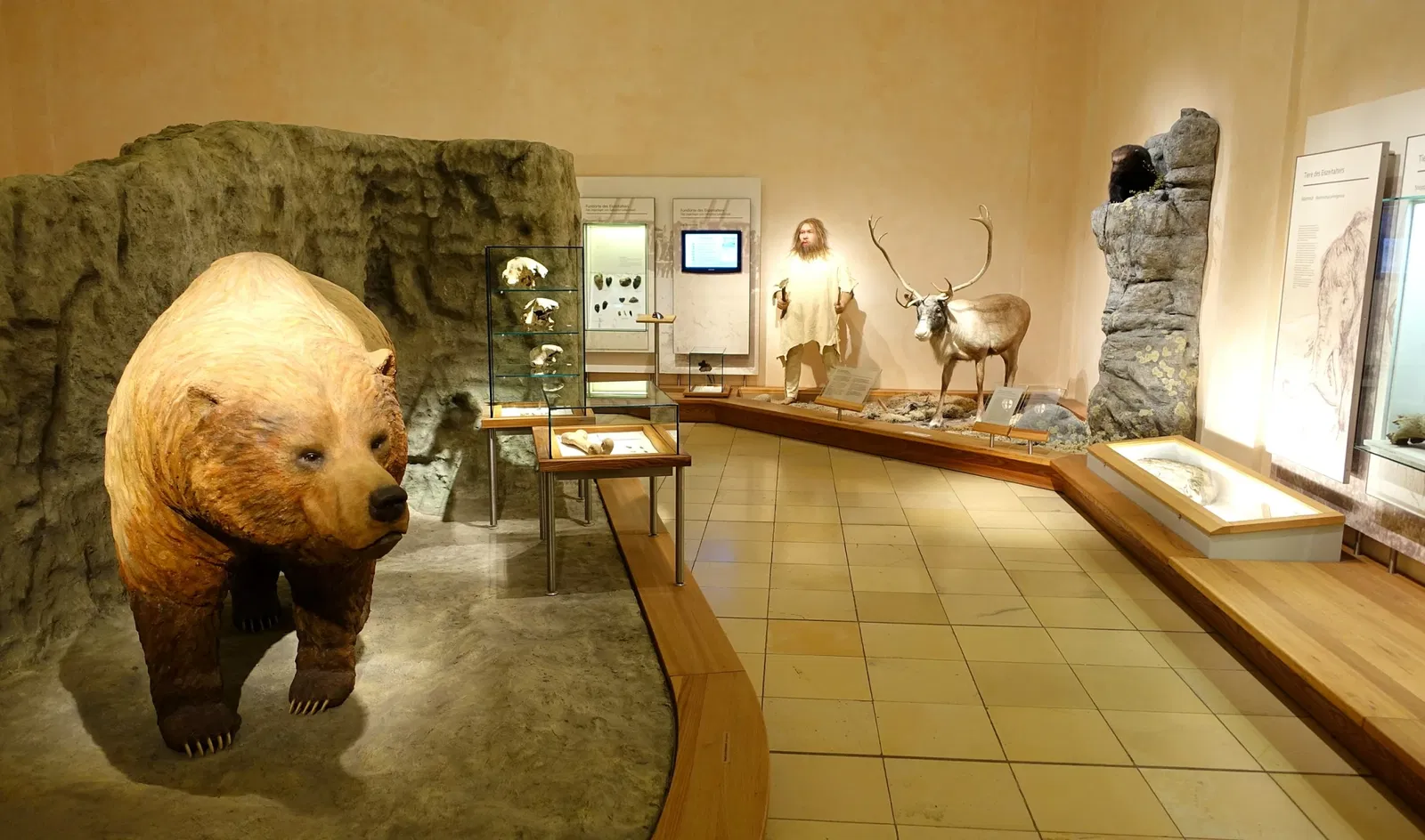 Museo di storia naturale di Braunschweig