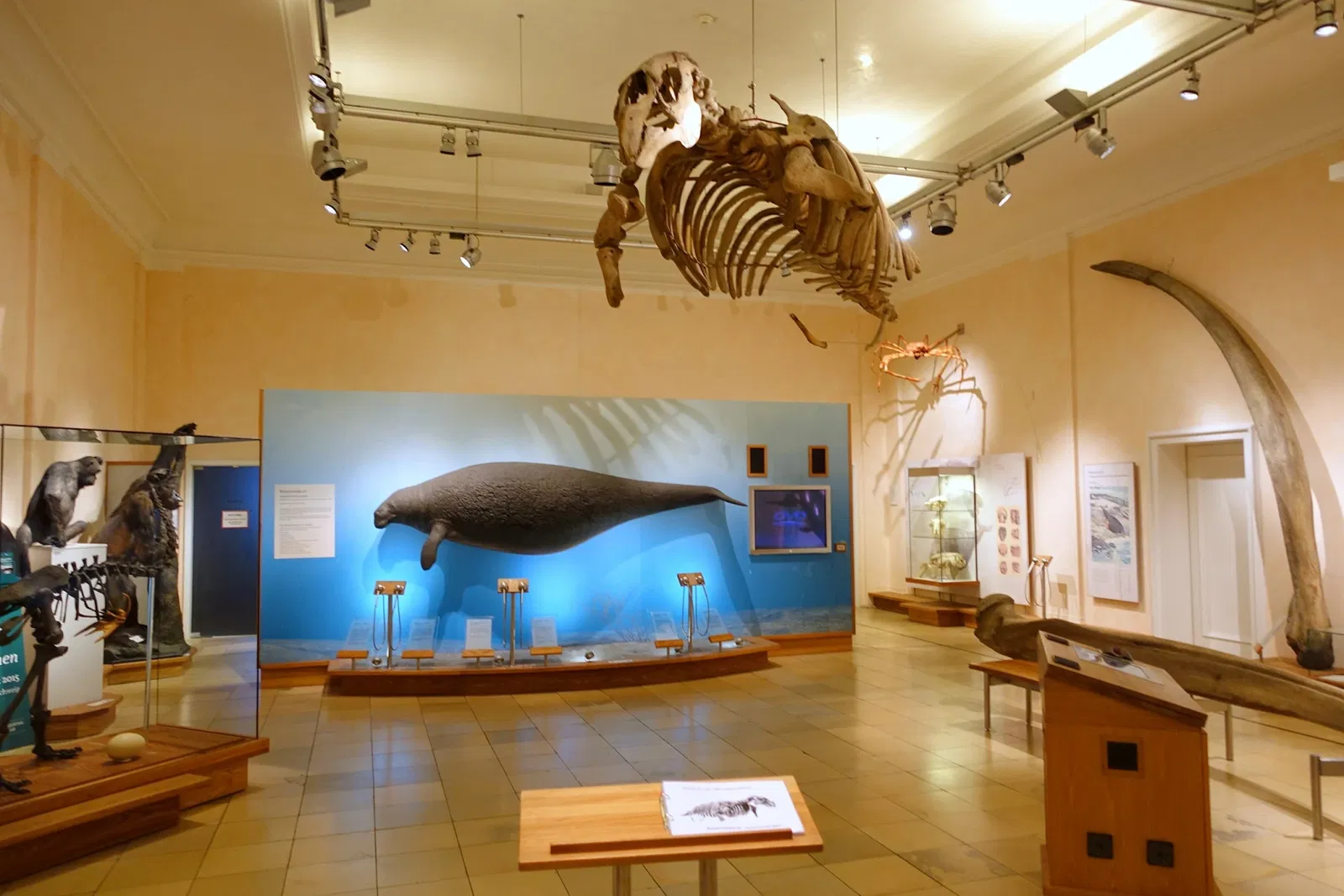State Natural History Museum