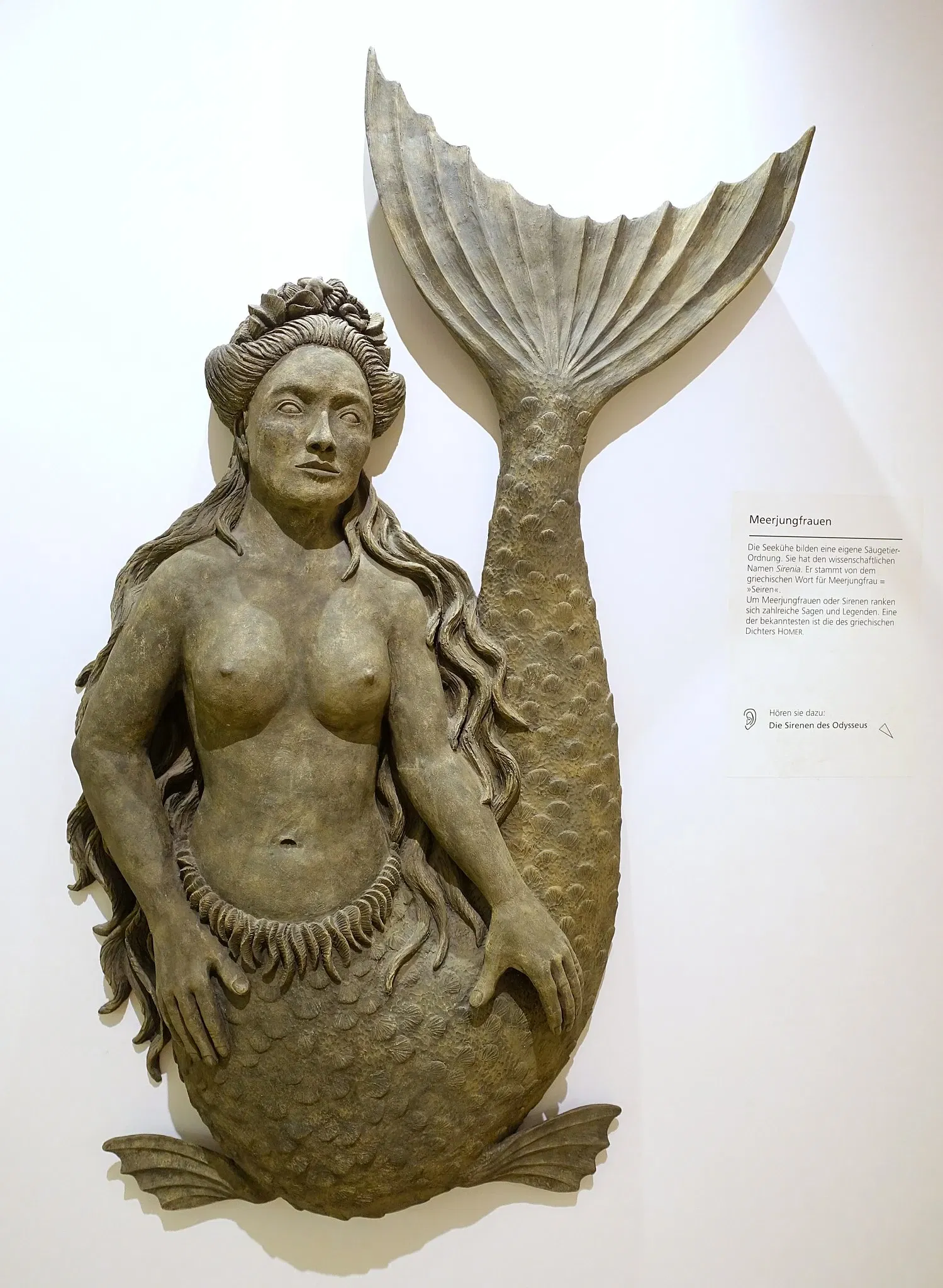 Museo di storia naturale di Braunschweig