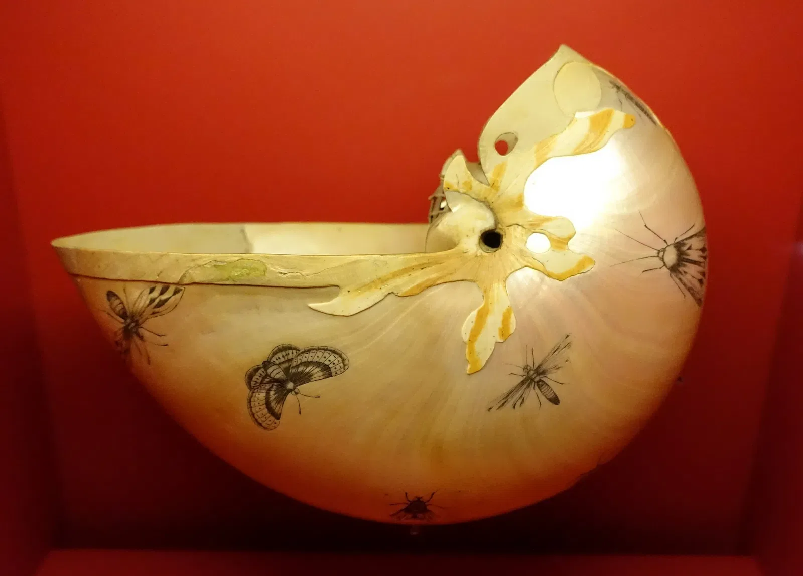 Museo di storia naturale di Braunschweig