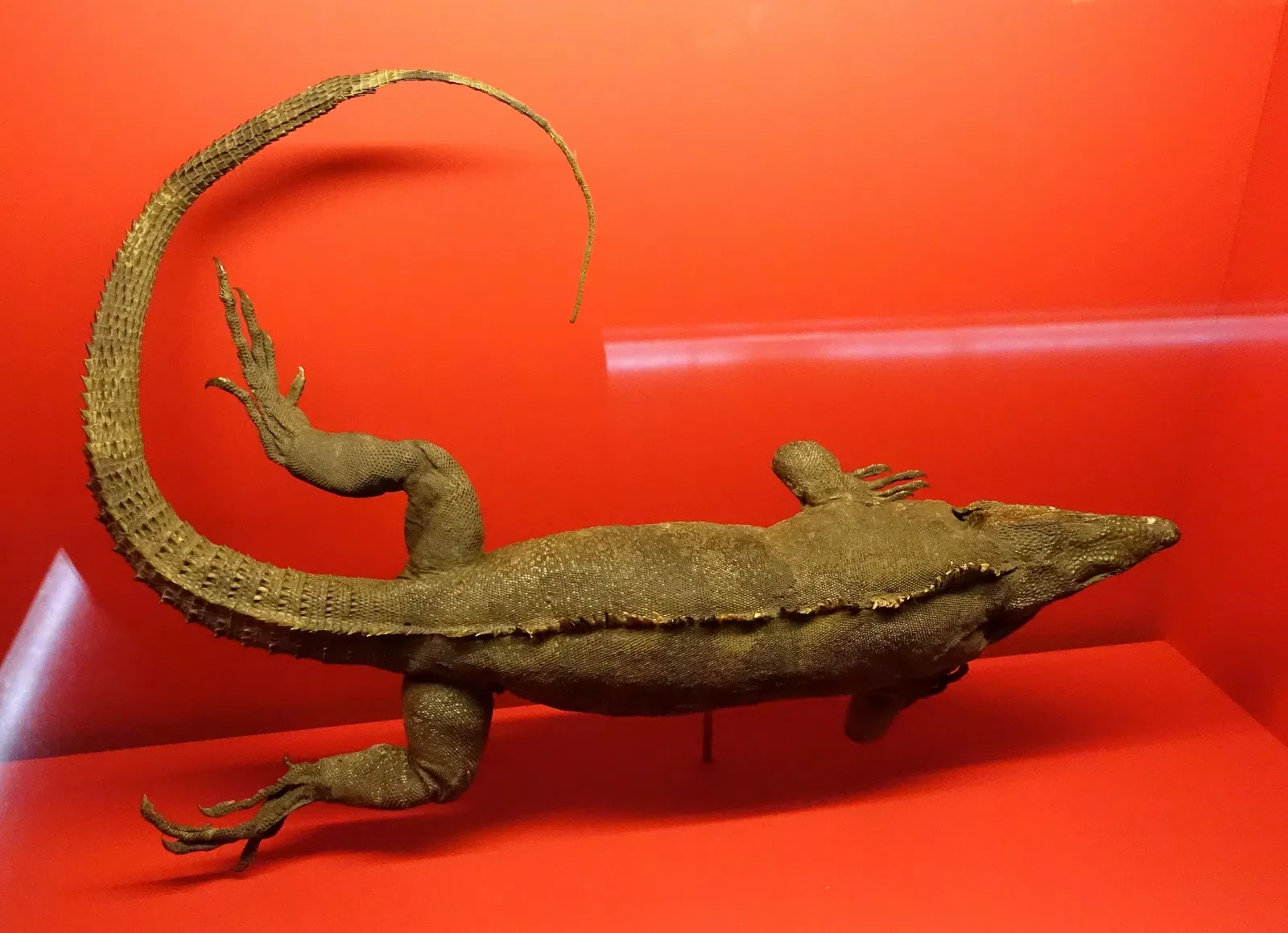 Museo de Historia Natural de Brunswick