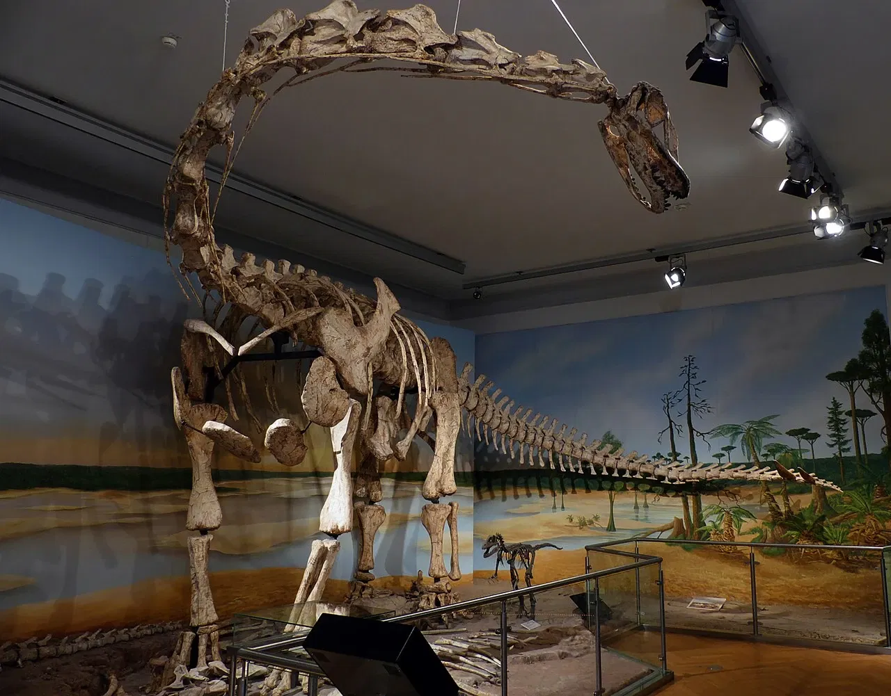 Museo de Historia Natural de Brunswick