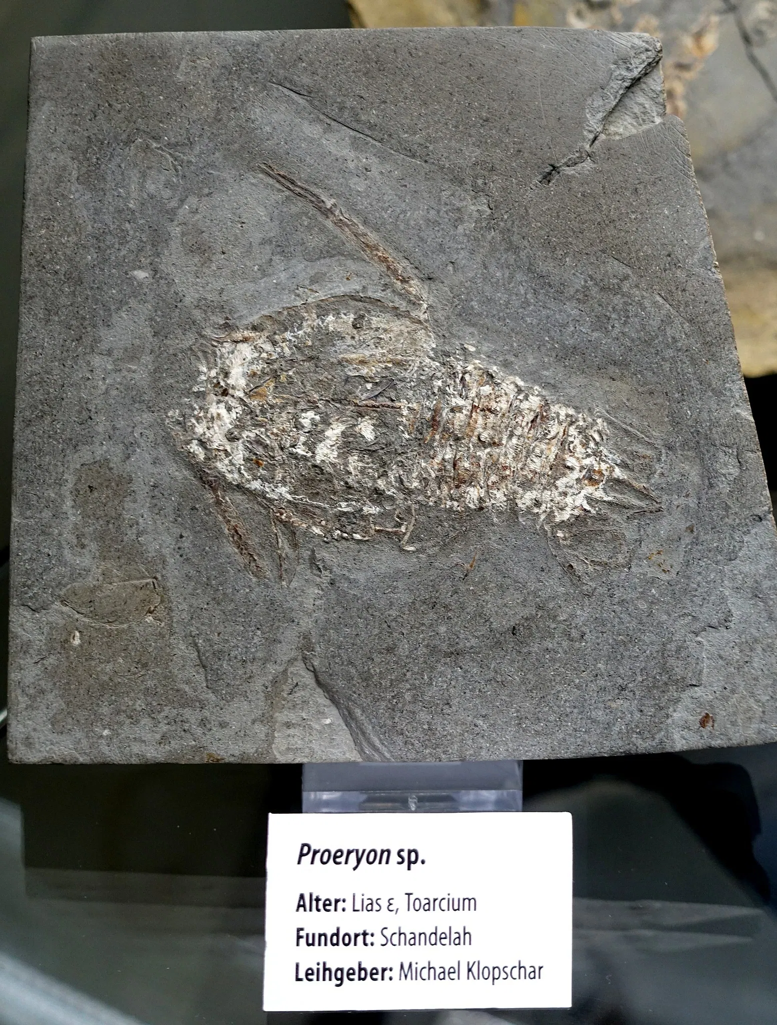 State Natural History Museum