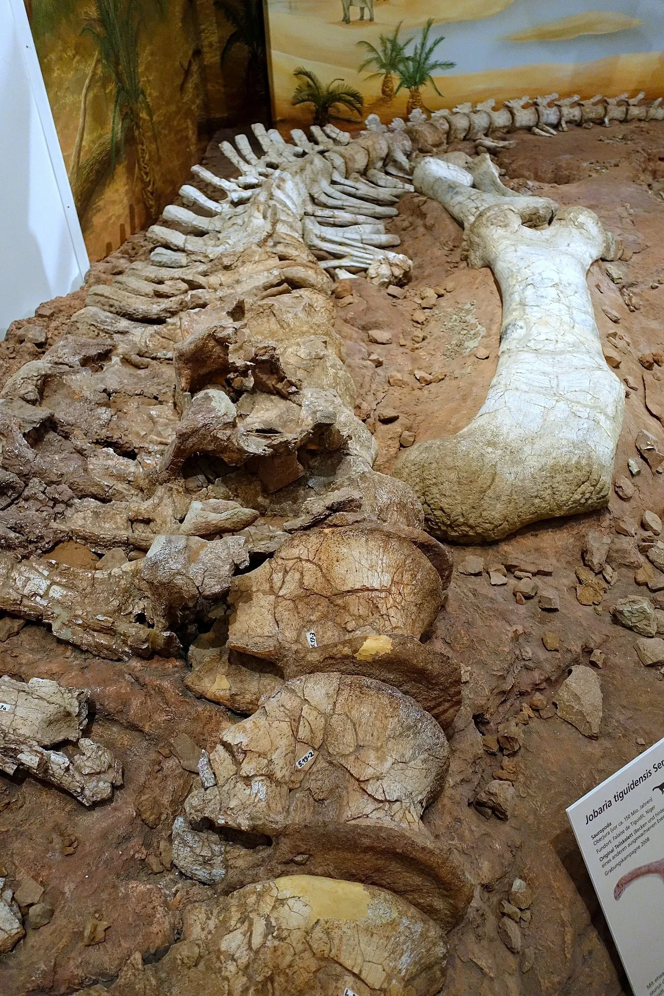 Museo de Historia Natural de Brunswick