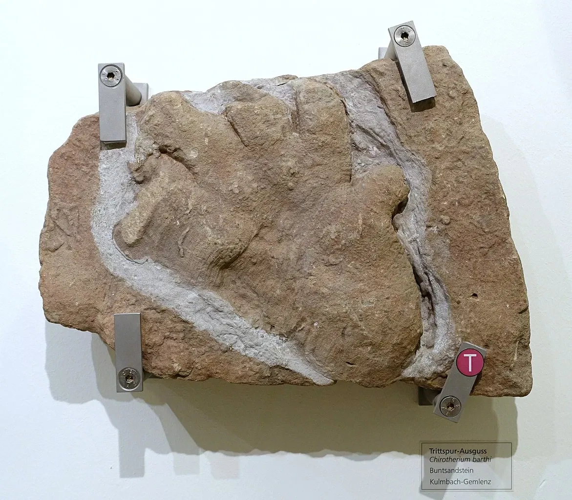 State Natural History Museum