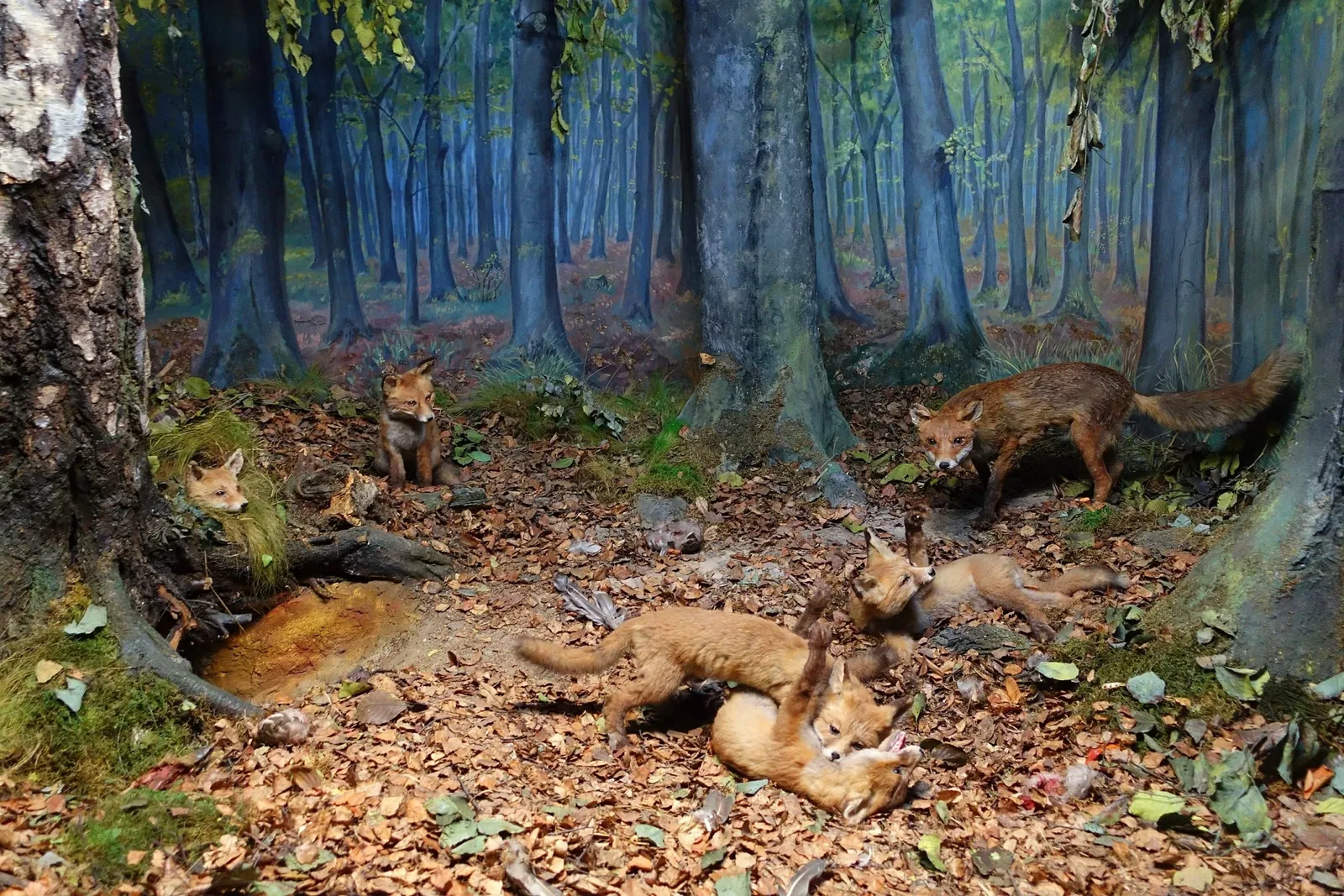 Museo di storia naturale di Braunschweig