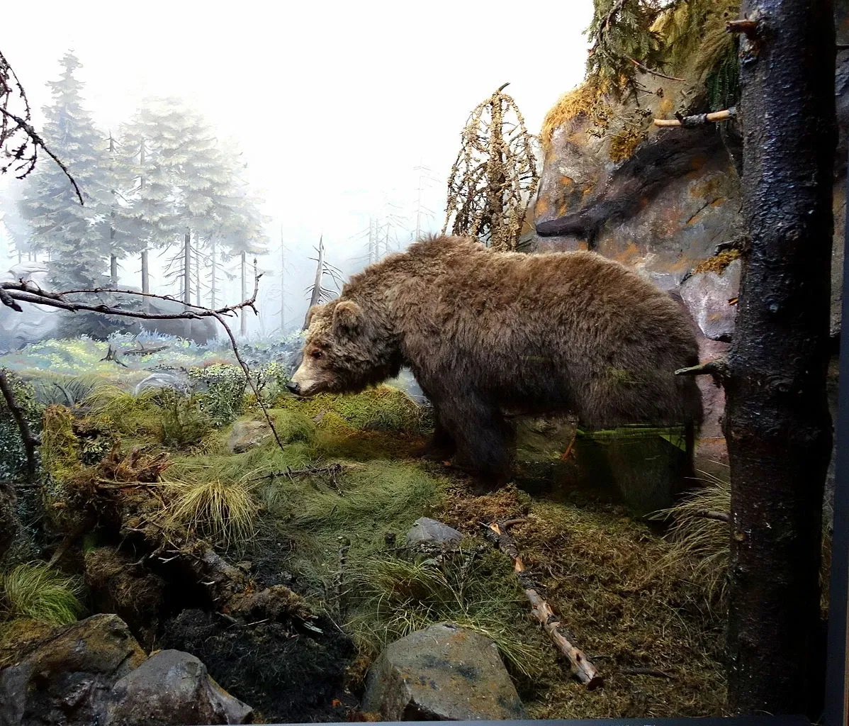 State Natural History Museum