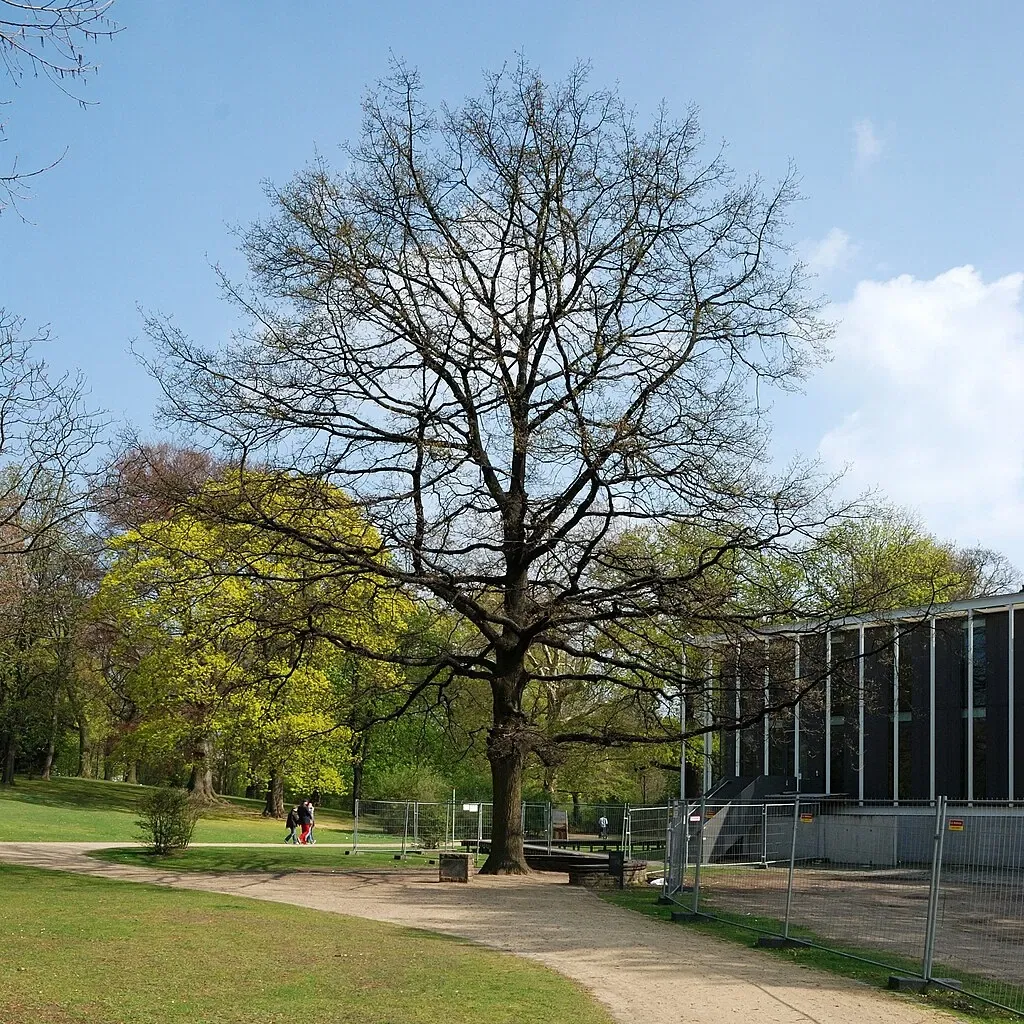 Museo Herzog Anton Ulrich