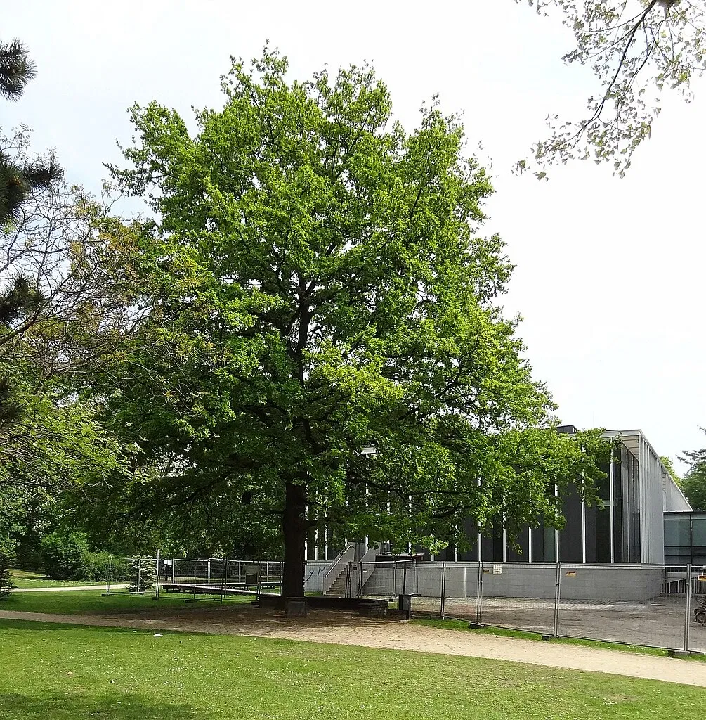 Herzog Anton Ulrich-Museum