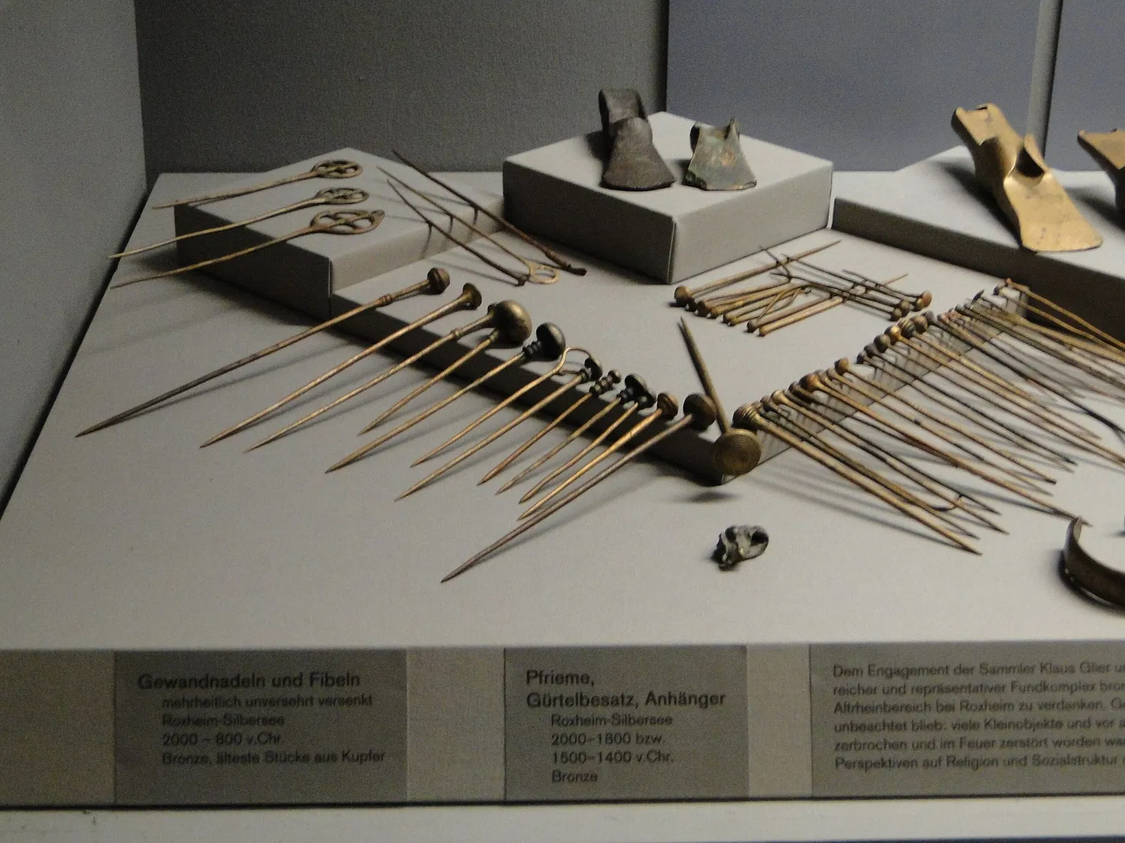 Historisches Museum der Pfalz