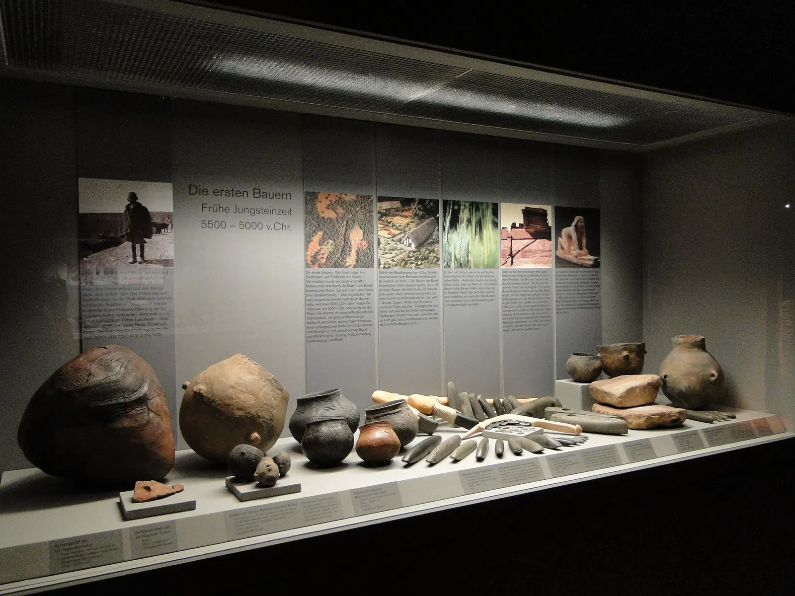 Historical Museum of the Palatinate