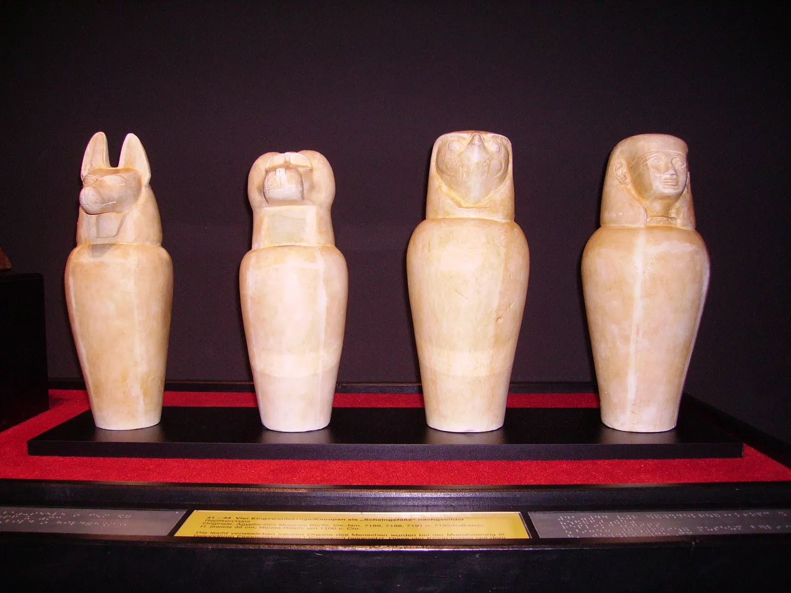 Historisches Museum der Pfalz